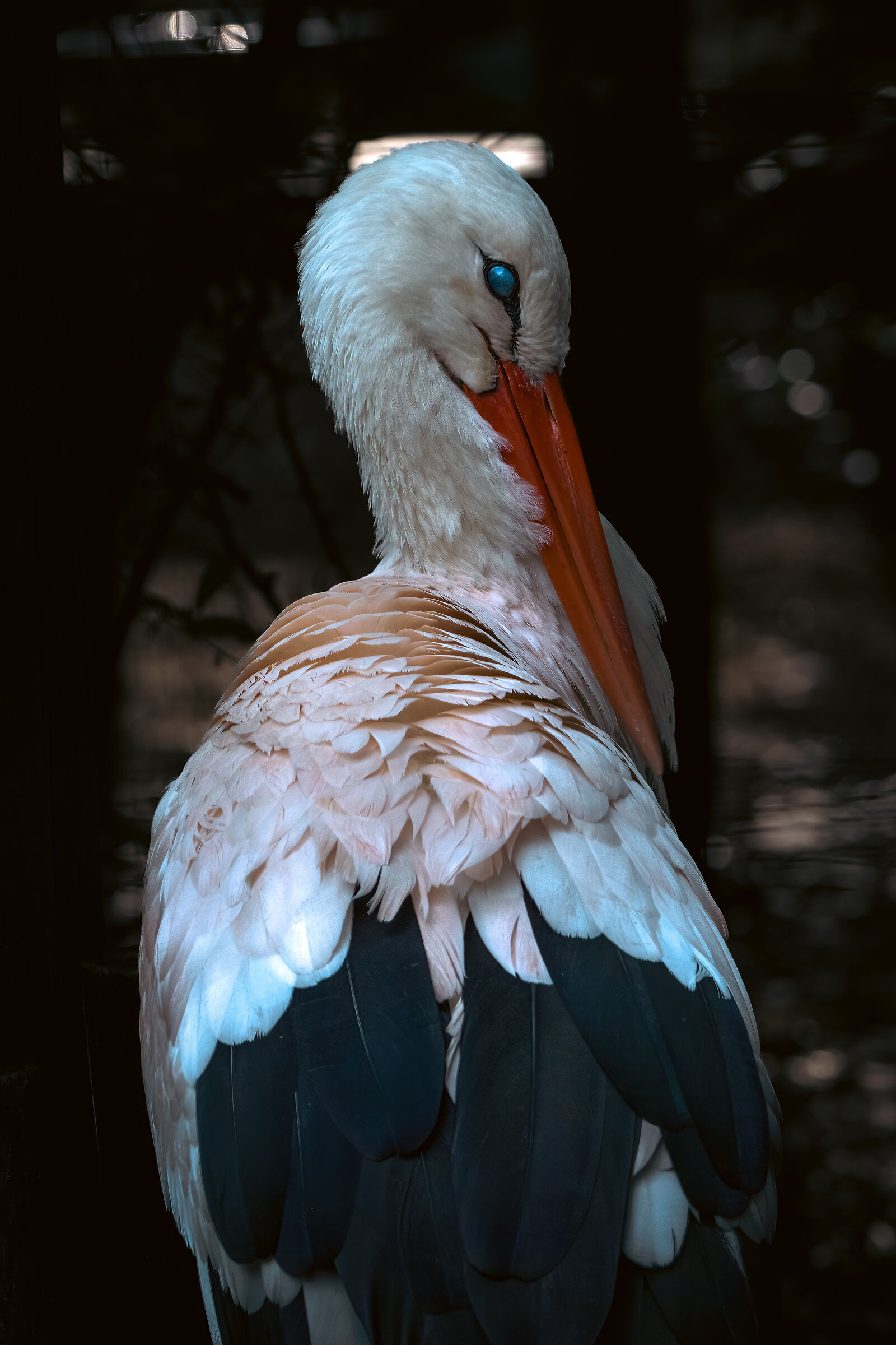 Untitled Photo