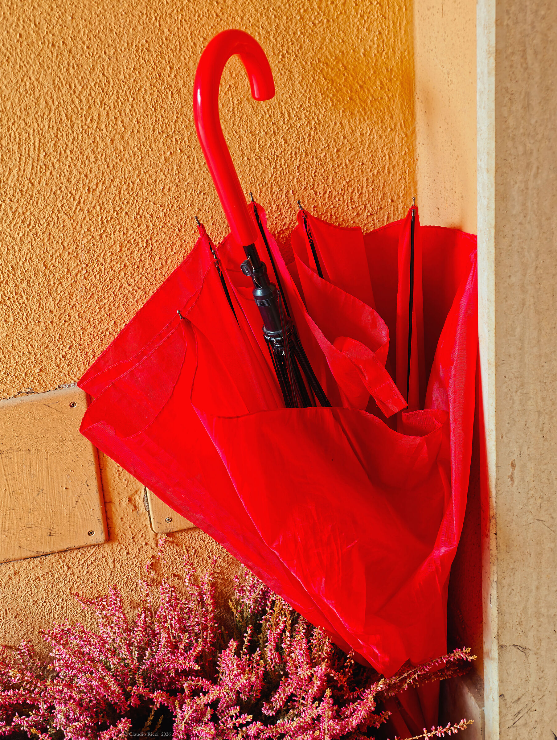 (Very) Red Umbrella