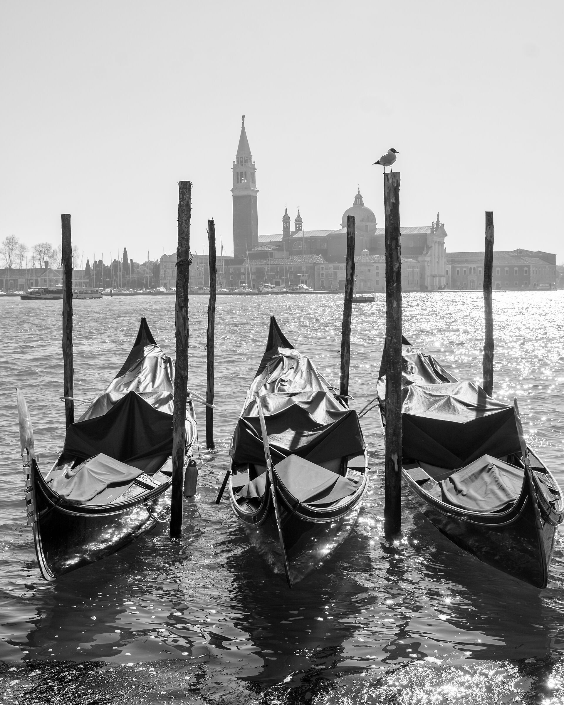 Le tre gondole