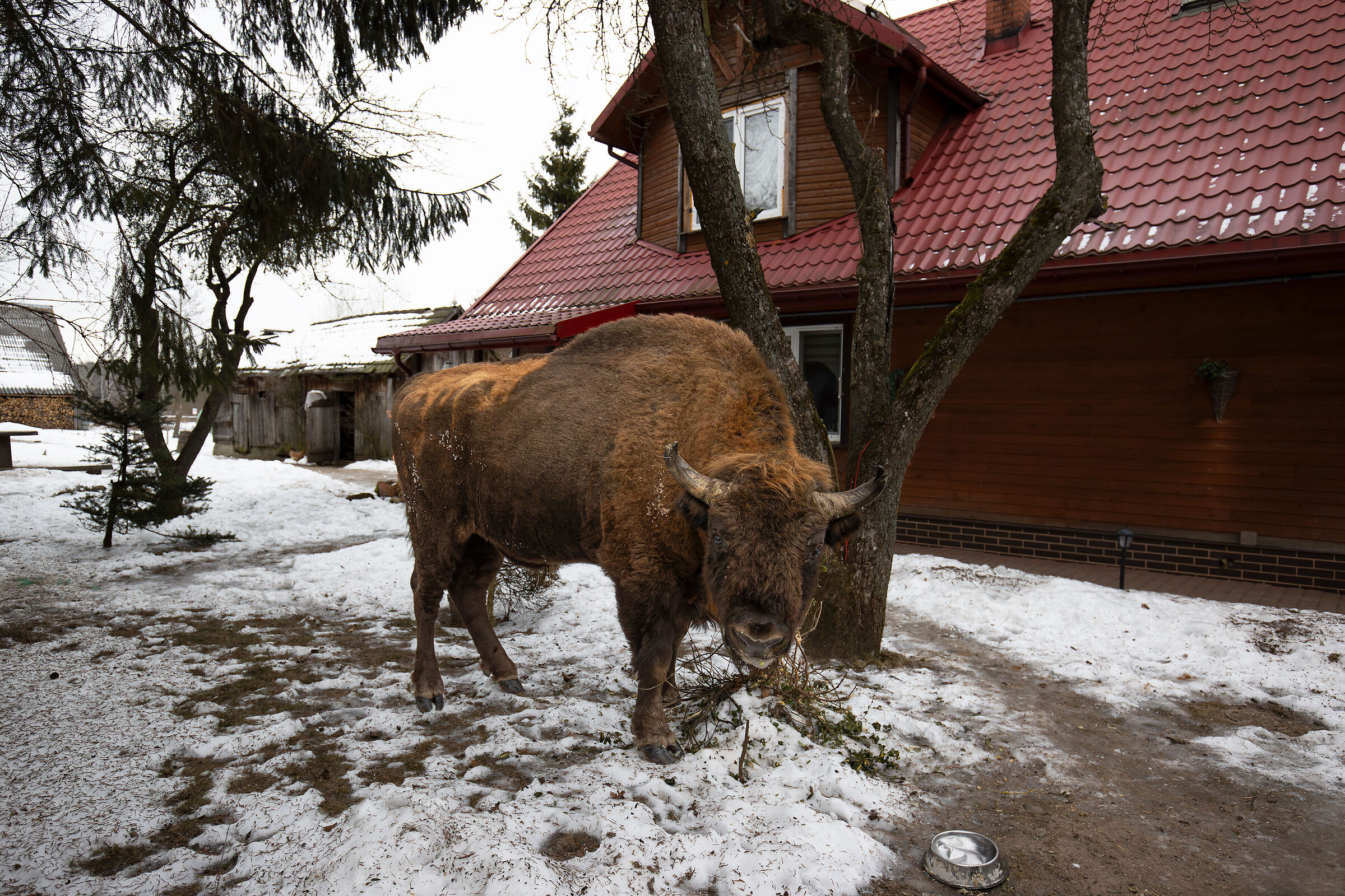 Right of way...