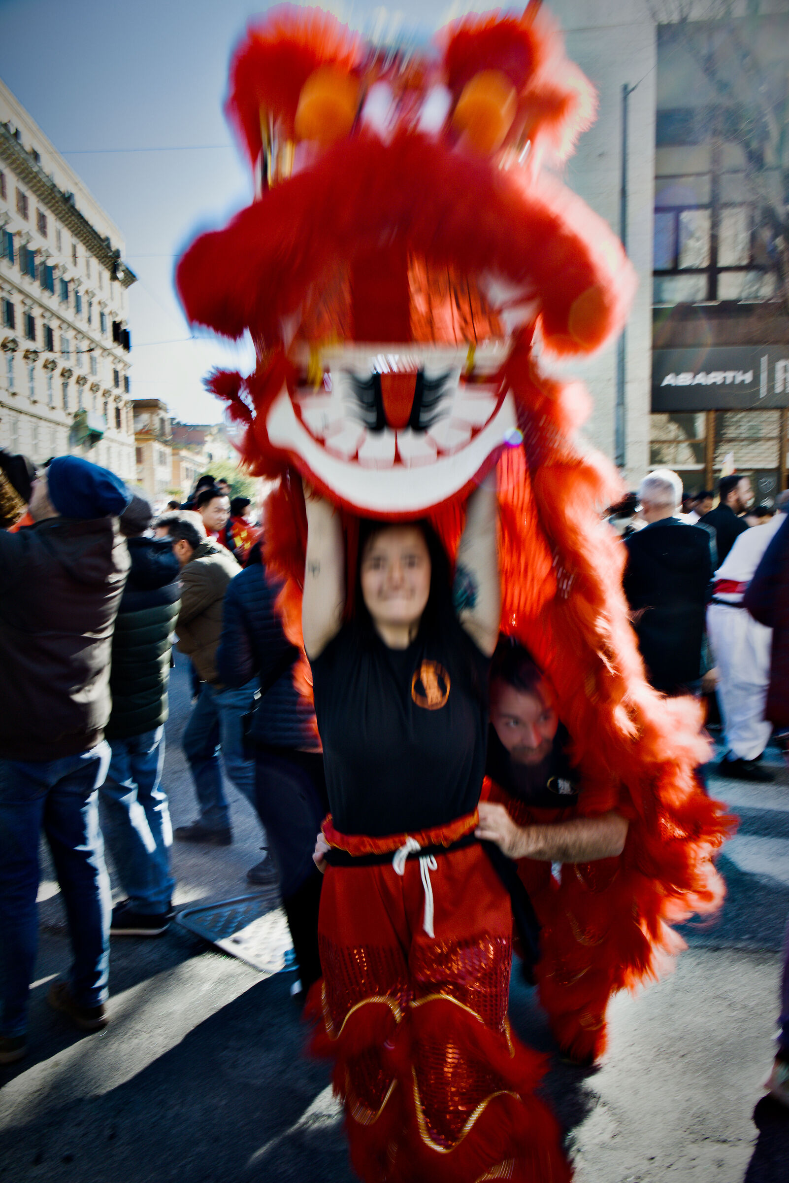 Year of the Fire Horse