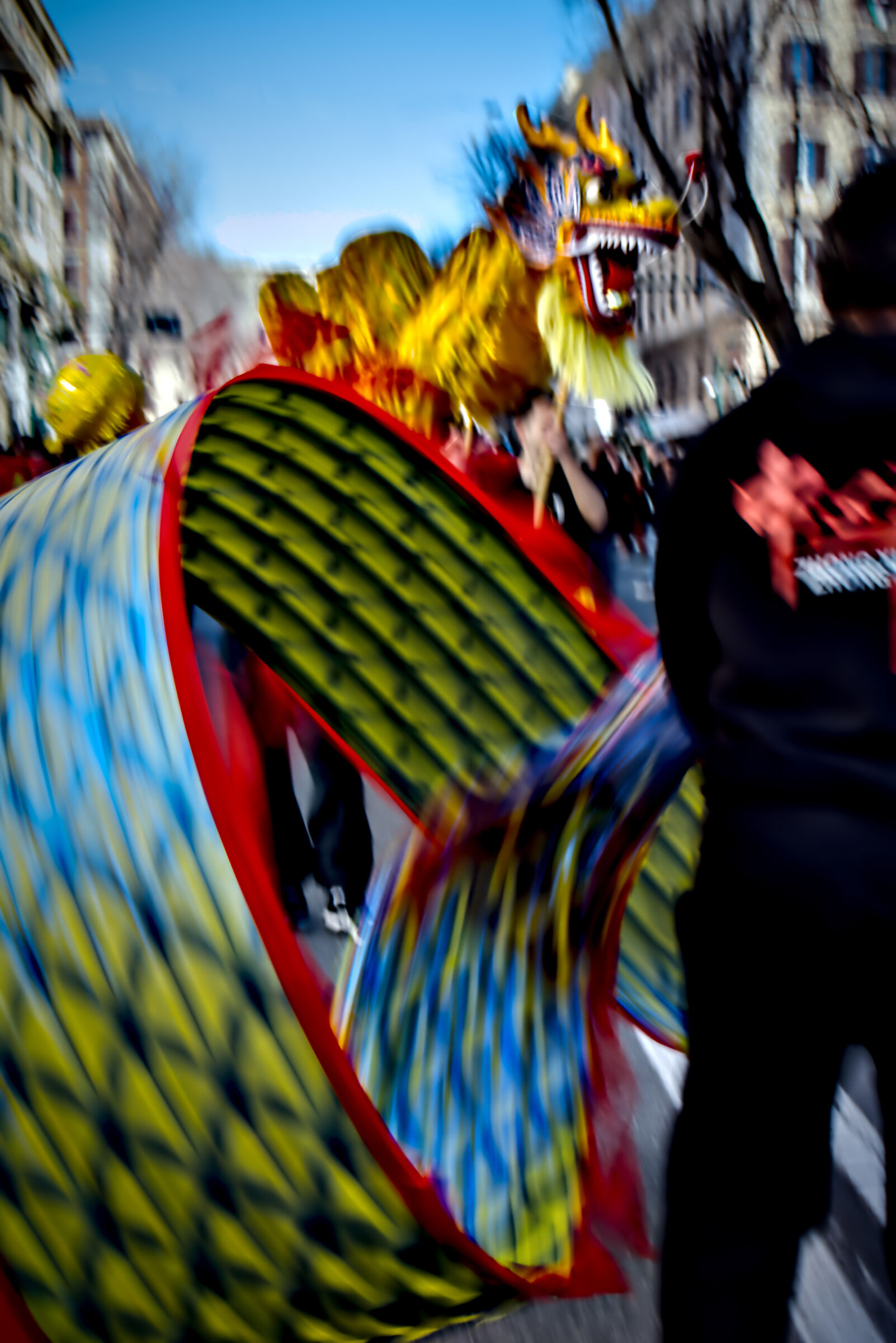 Year of the Fire Horse