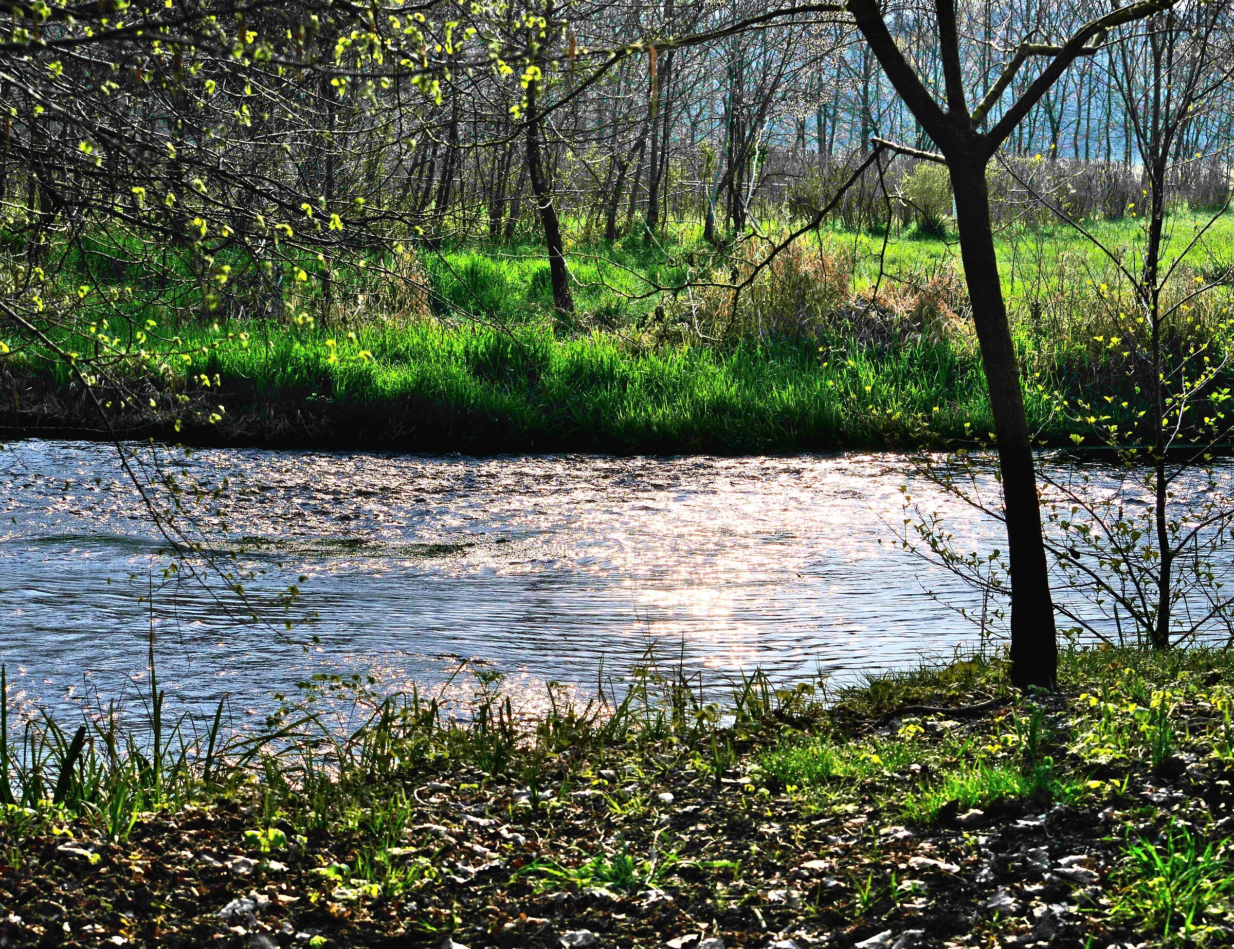 Nature