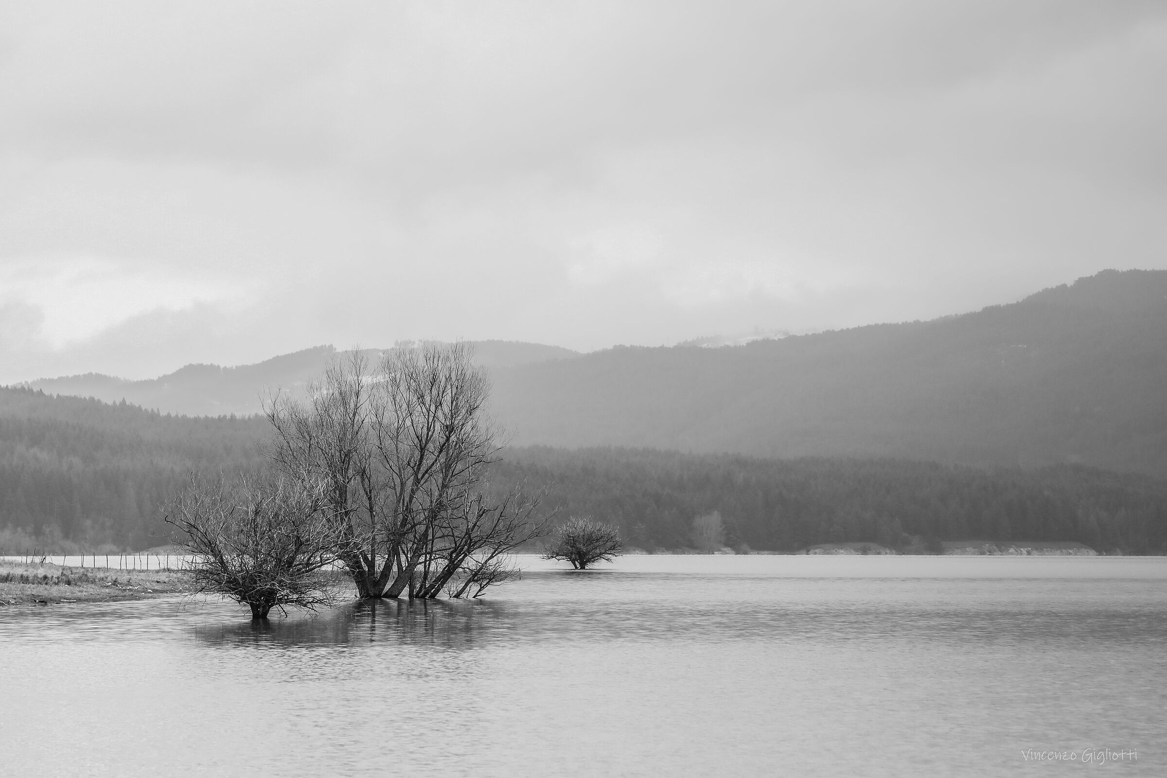 Lake Cecita