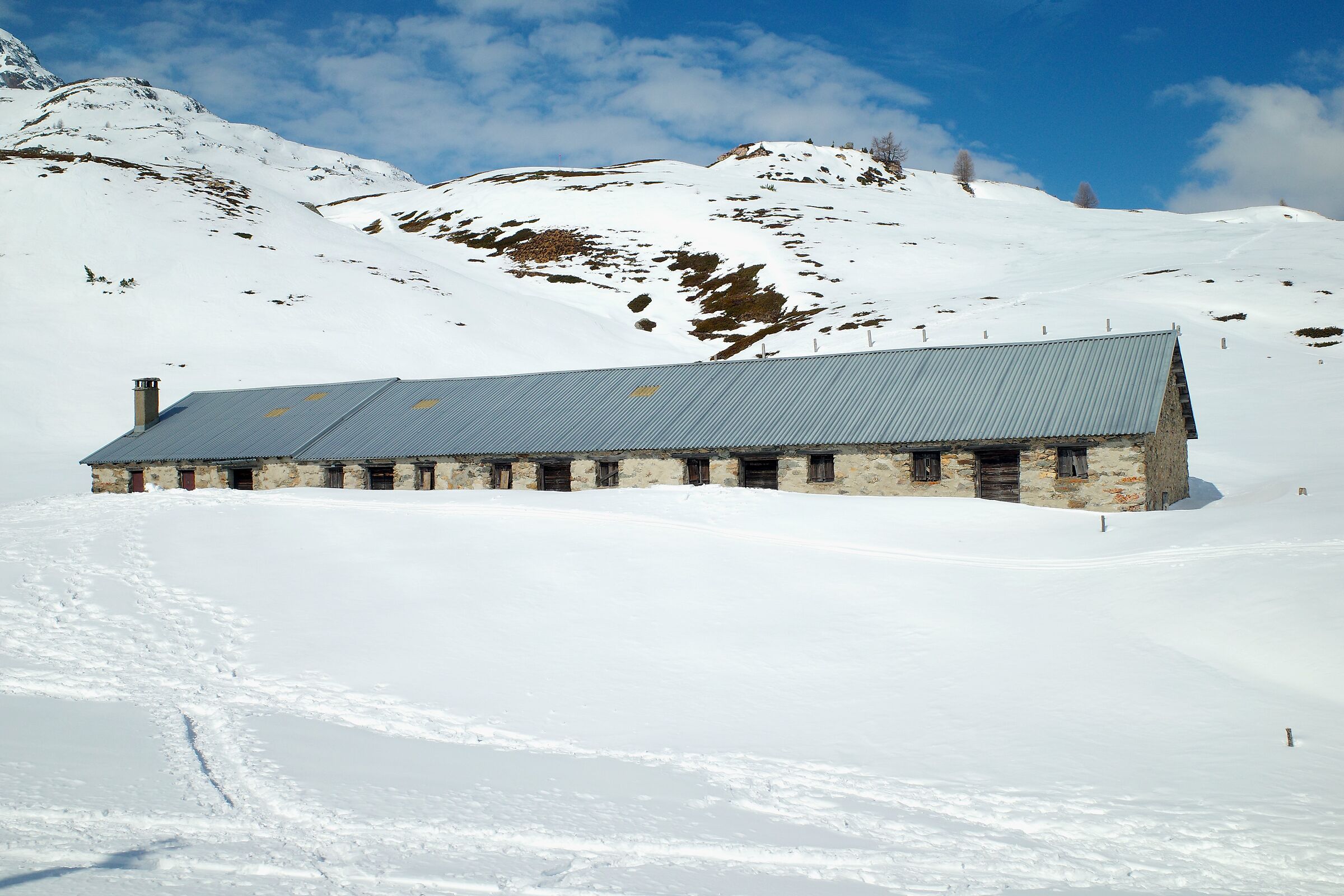 Dal trenino del Bernina