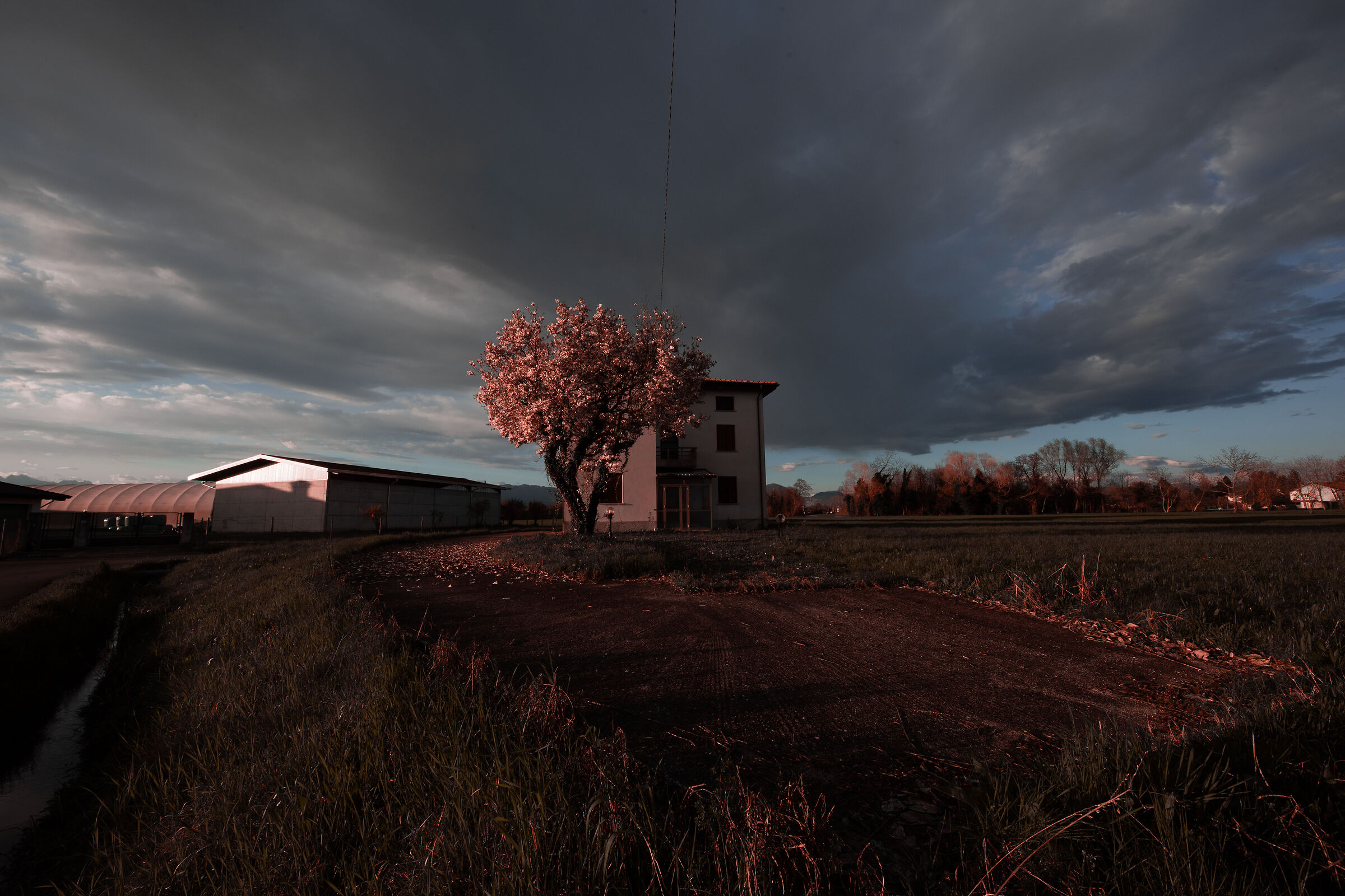 Pink sunset!