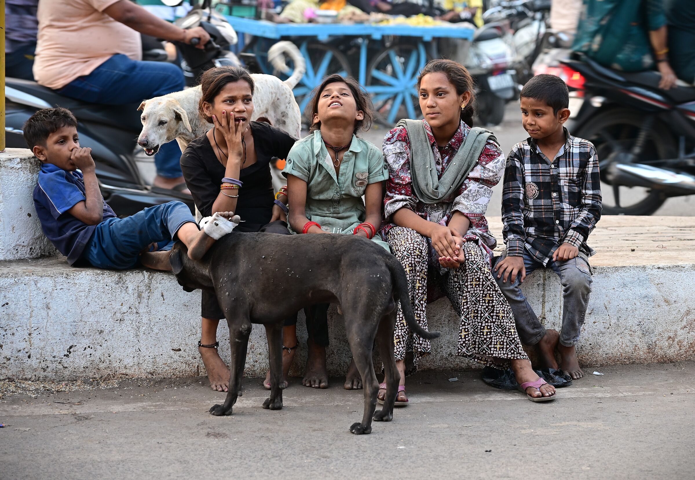 Ragazzi ( e cani ) di strada