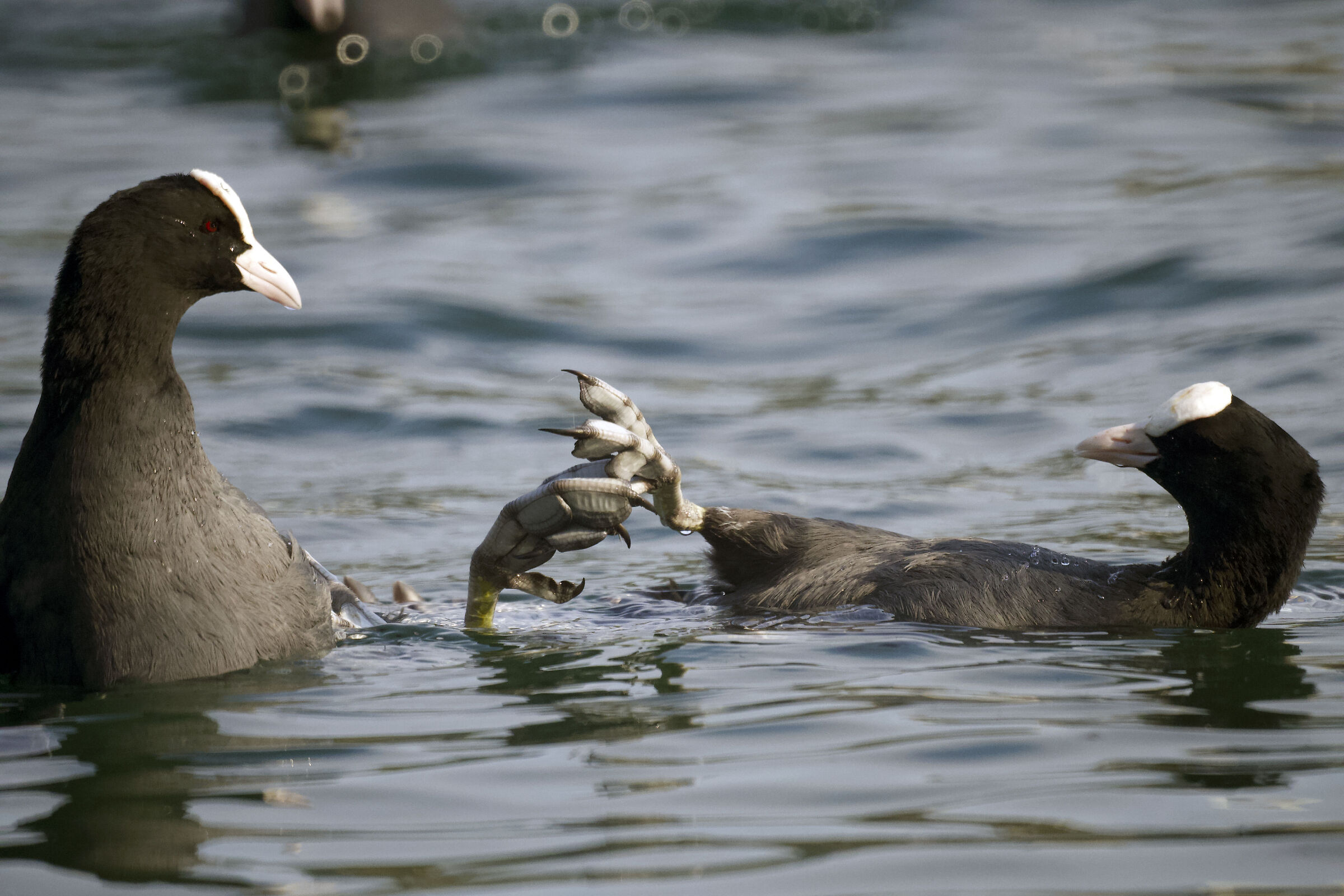 The calm after the storm