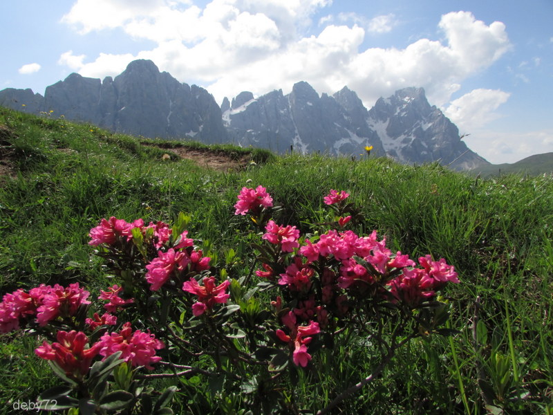 Pale di San Martino viste dal Passo Valles
