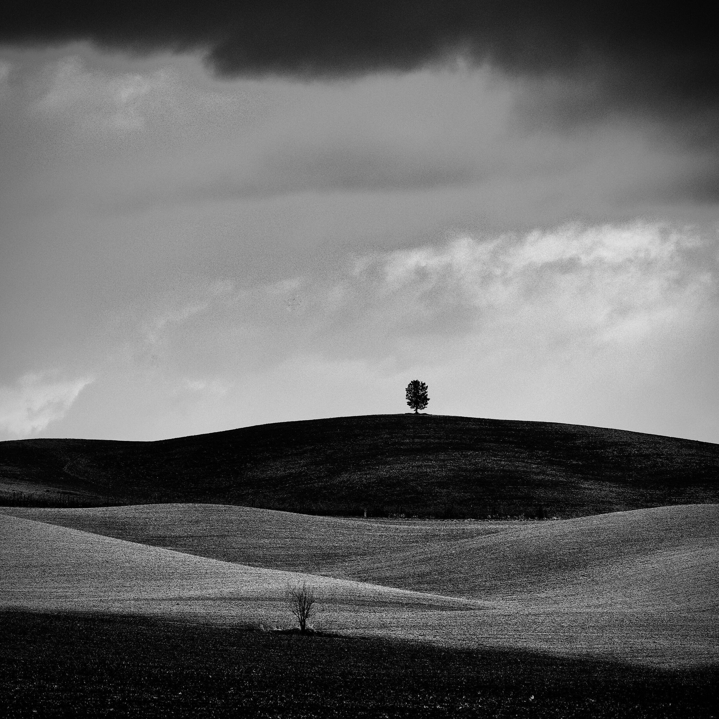 una strana coppia