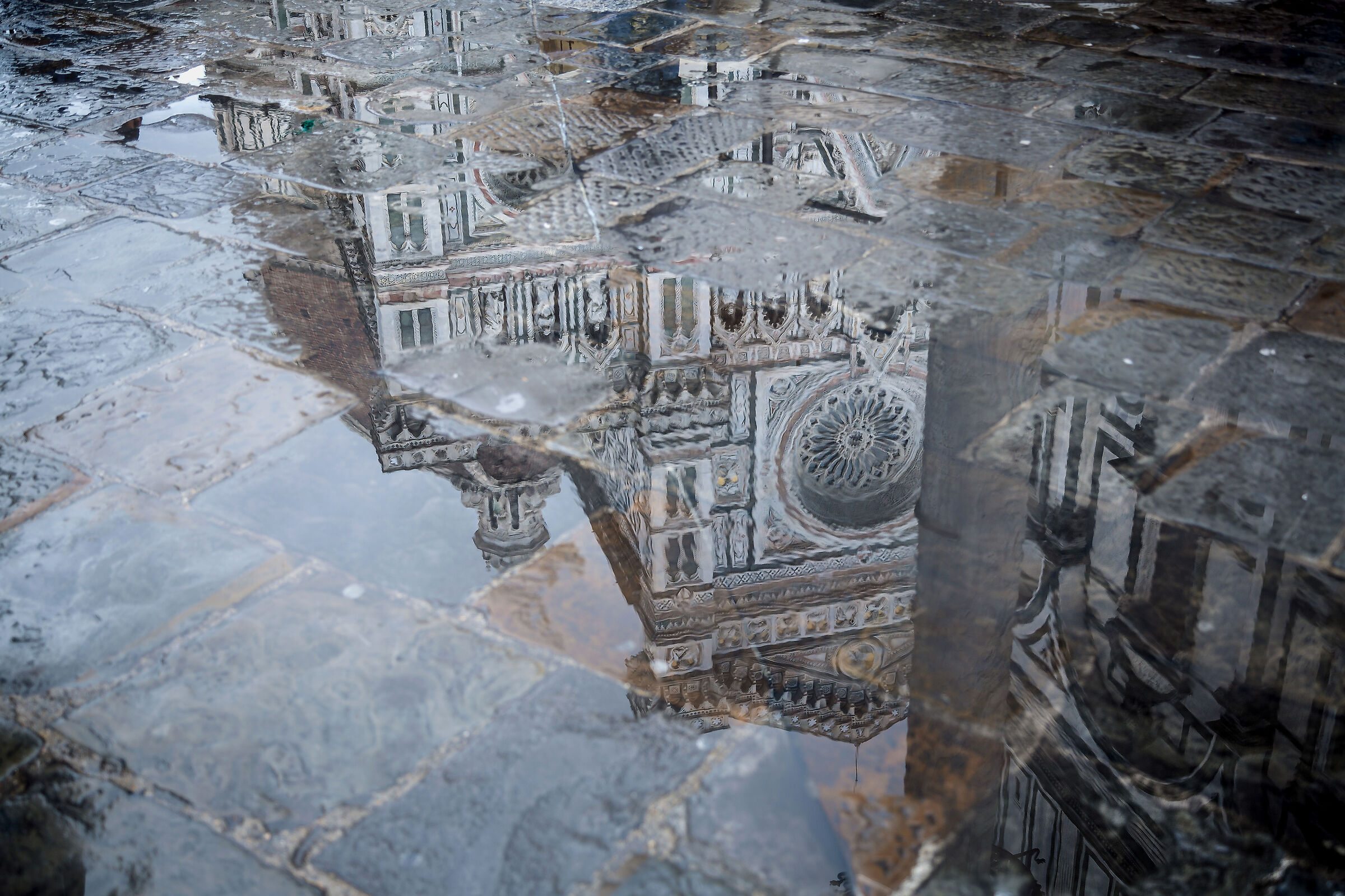 Riflessi fiorentini