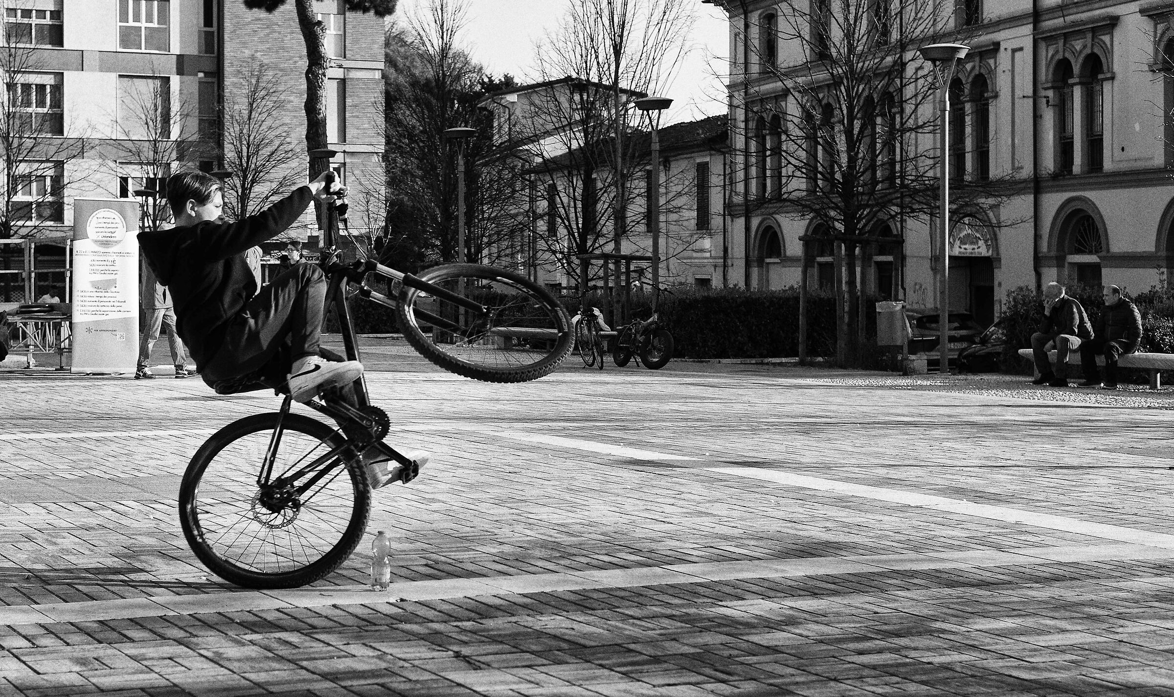 Untitled Photo