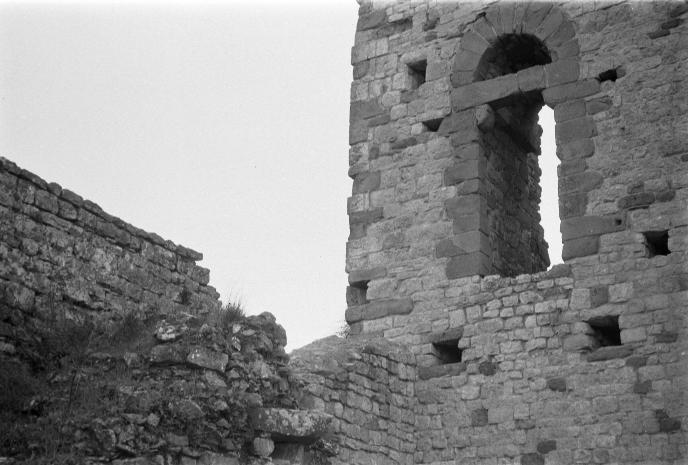 Untitled Photo