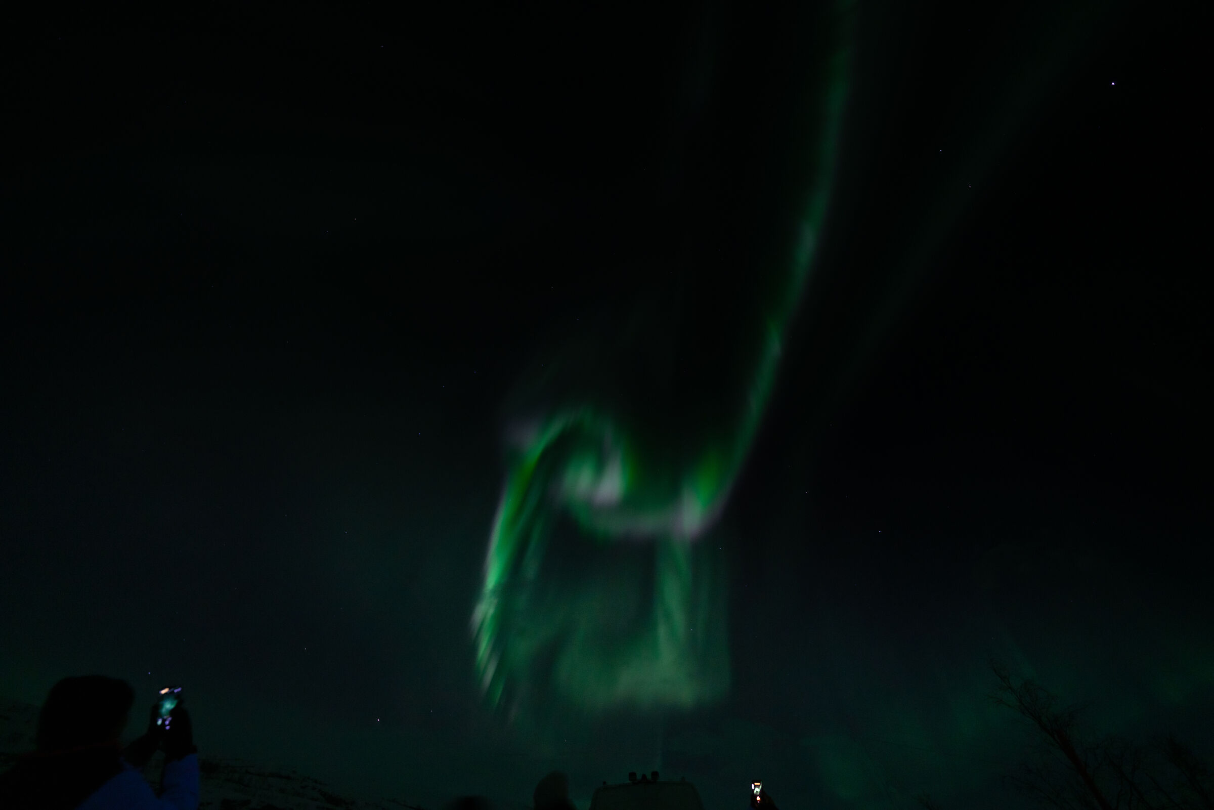 Aurora Borealis - Cheshire Cat