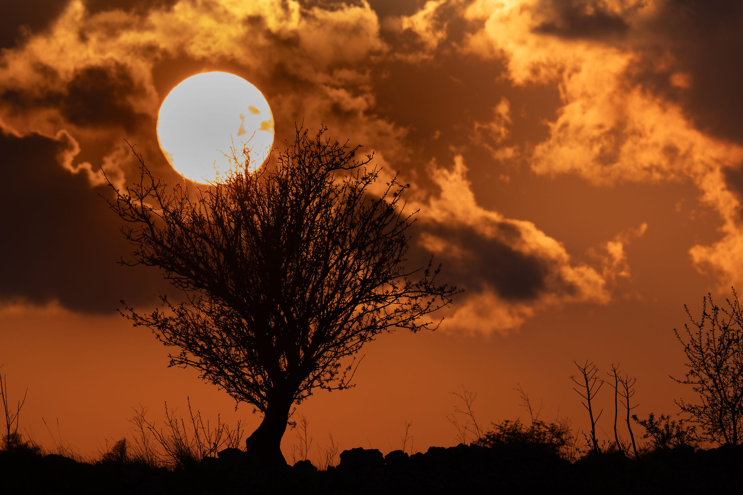 The sunset in Altamura