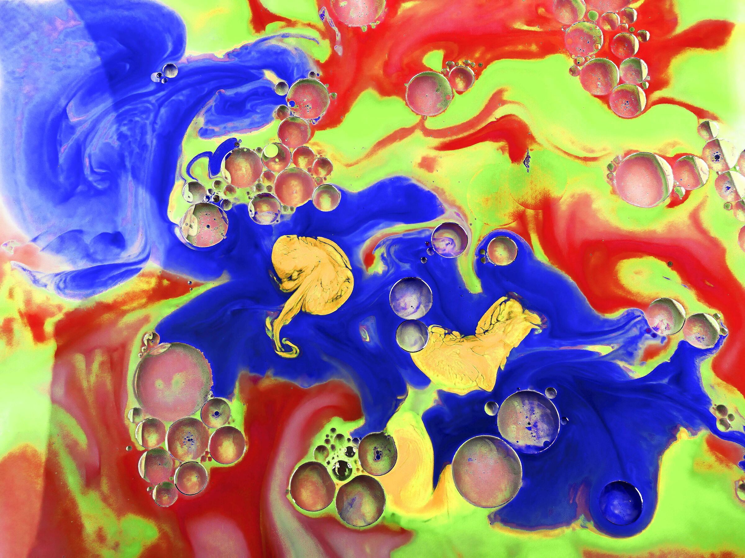 abstraction 26 colors in freedom