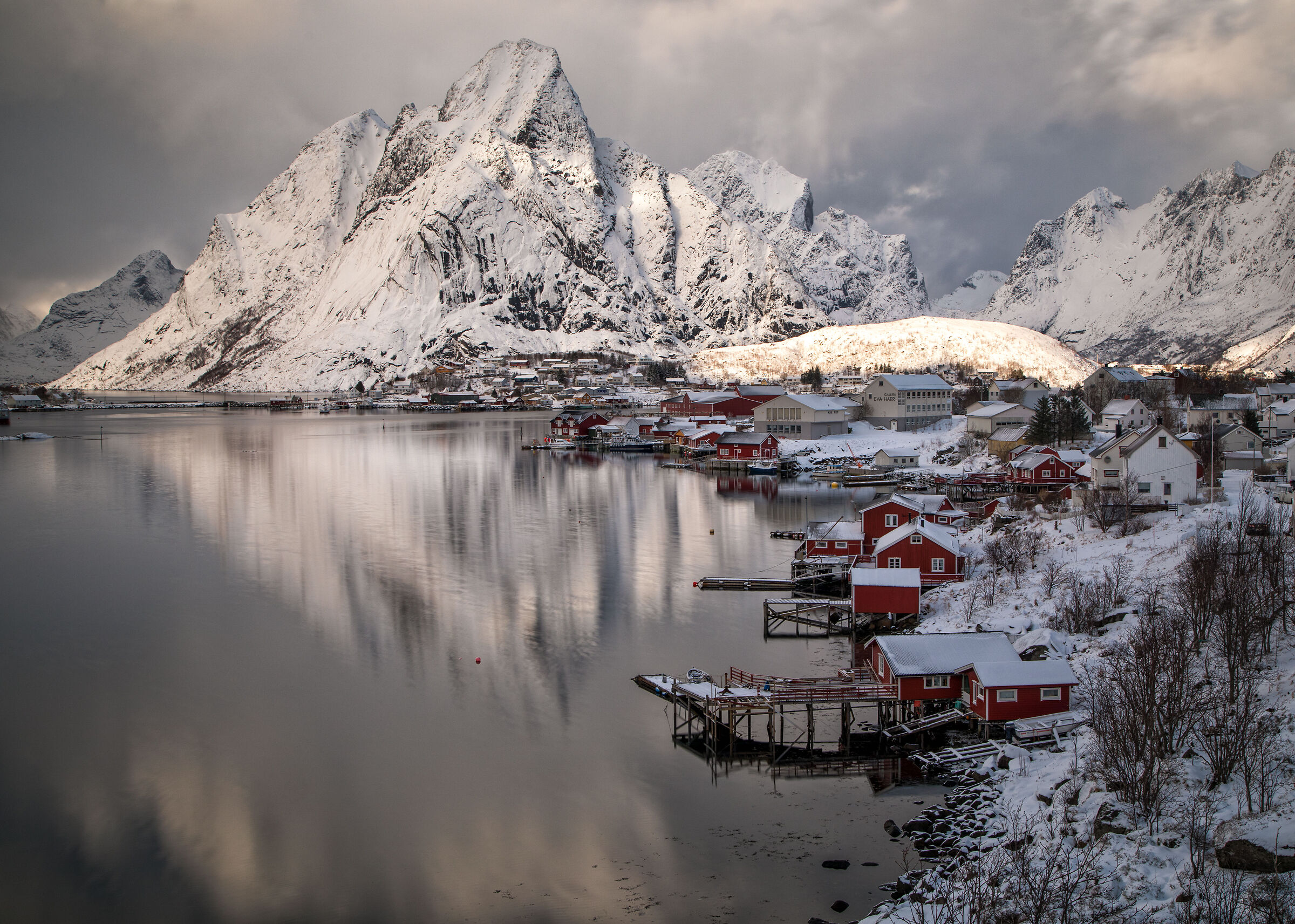Reine