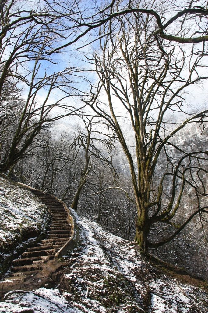 canon 450d,18-200,iso200,1.250