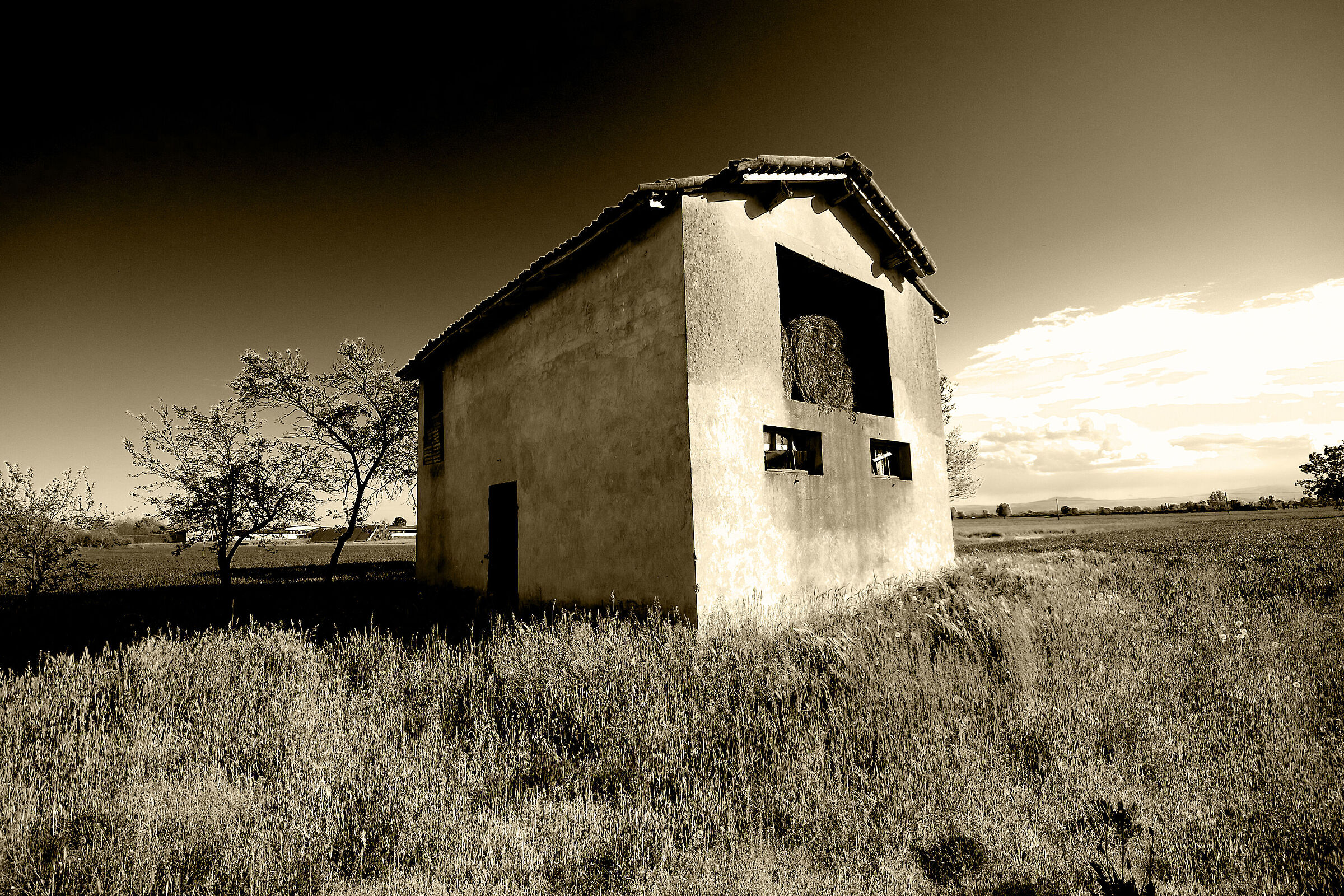 Primavera in pianura..