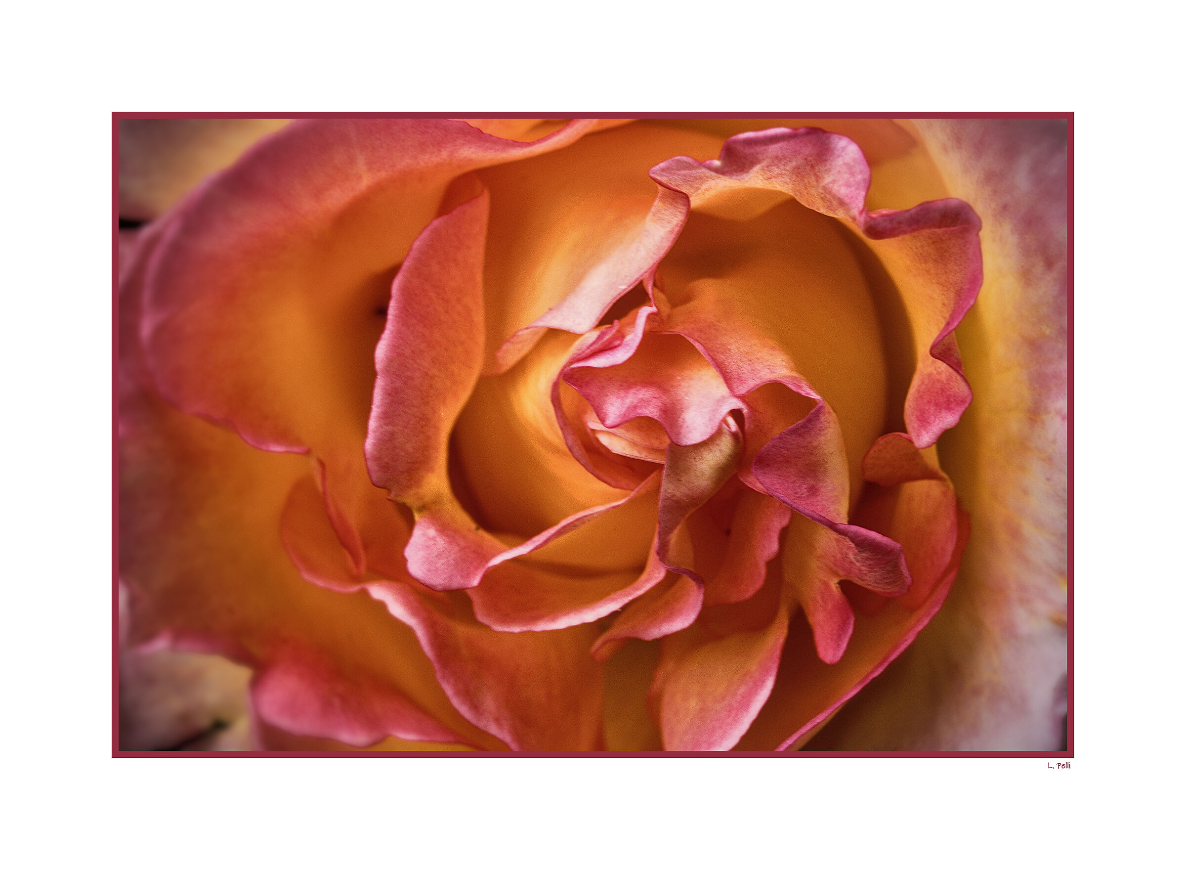 Blossoming and transformation