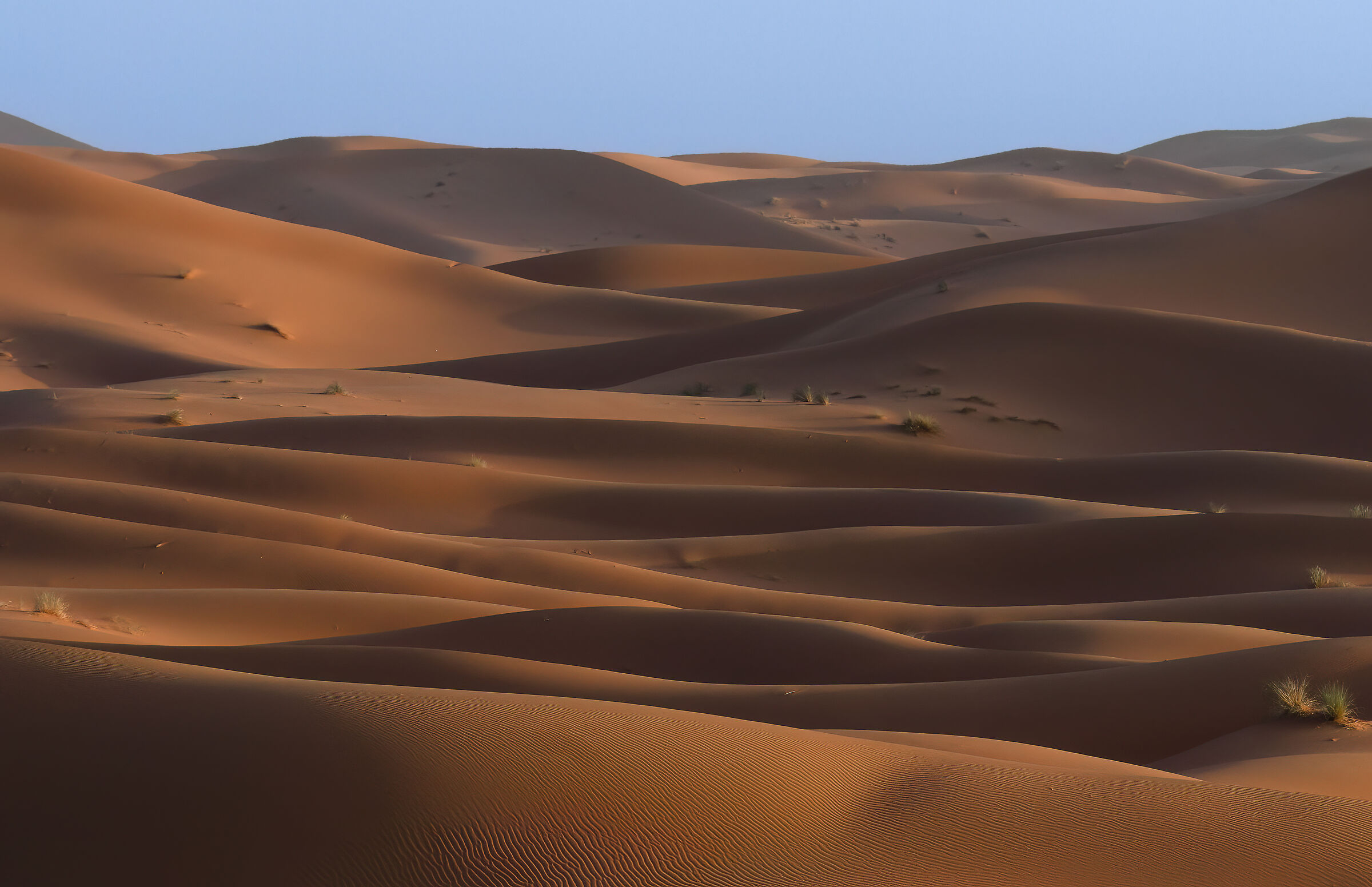 The shapes of the Sahara