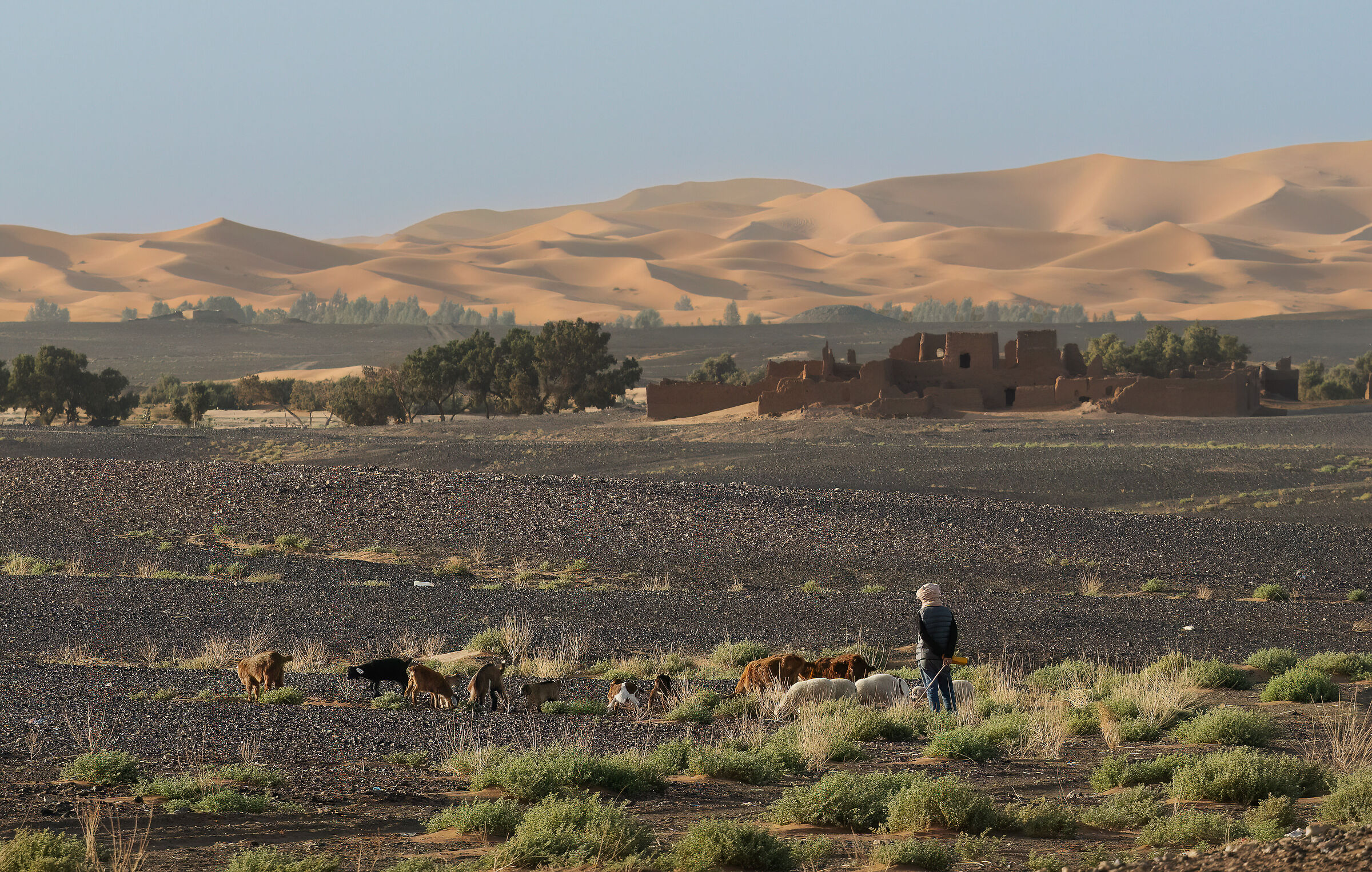 At the gates of the Sahara