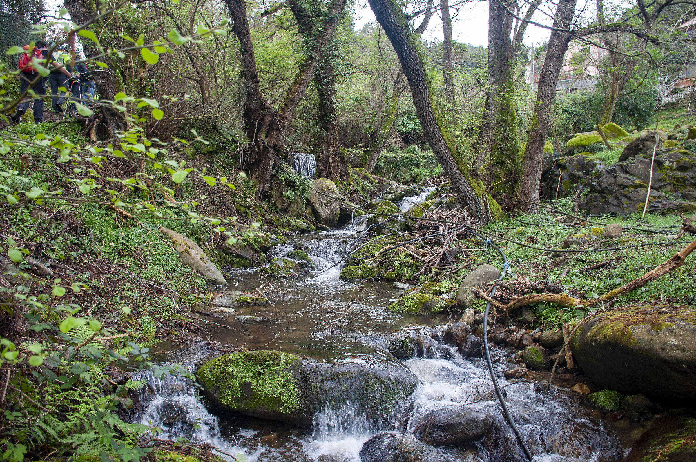 Valley of the Mills in Maciana