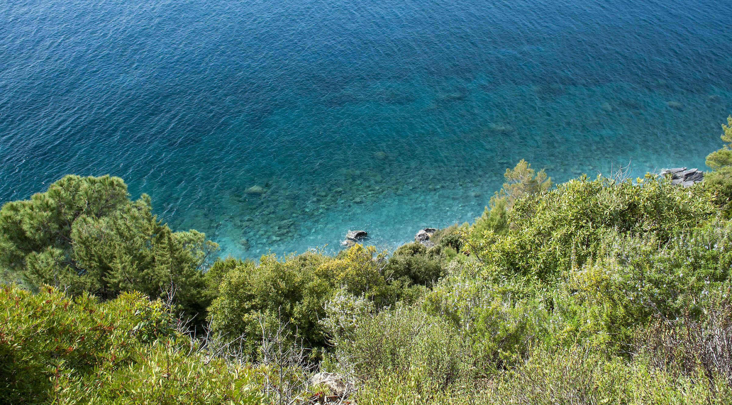 Elba transparencies