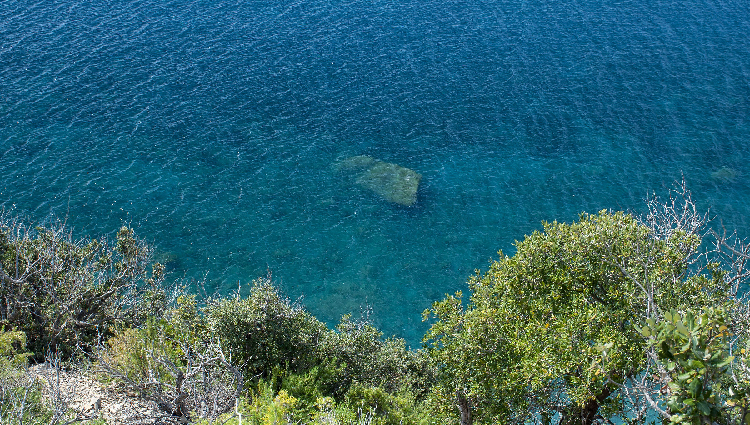 Elba Transparencies 2