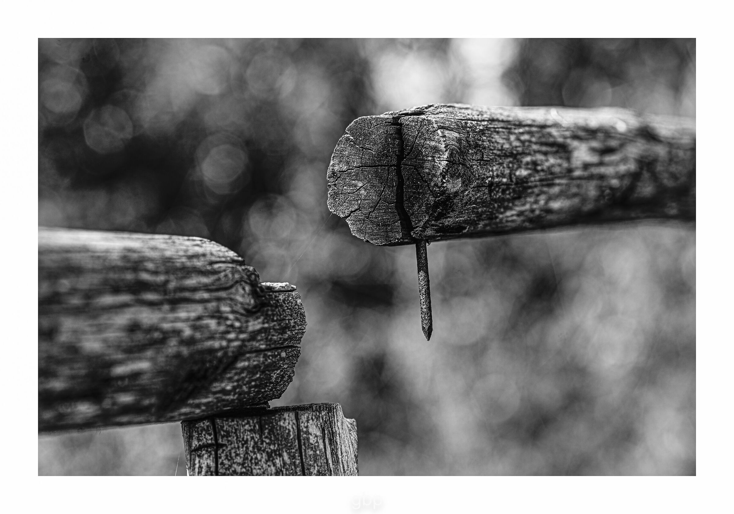 Fratture & Chiodi