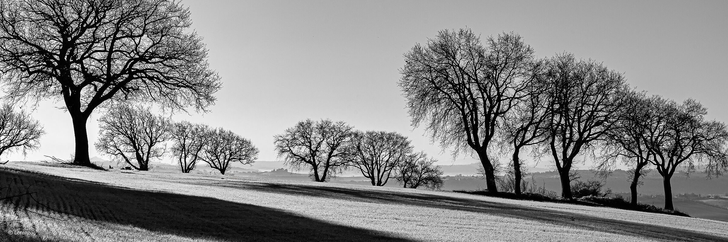 querce
