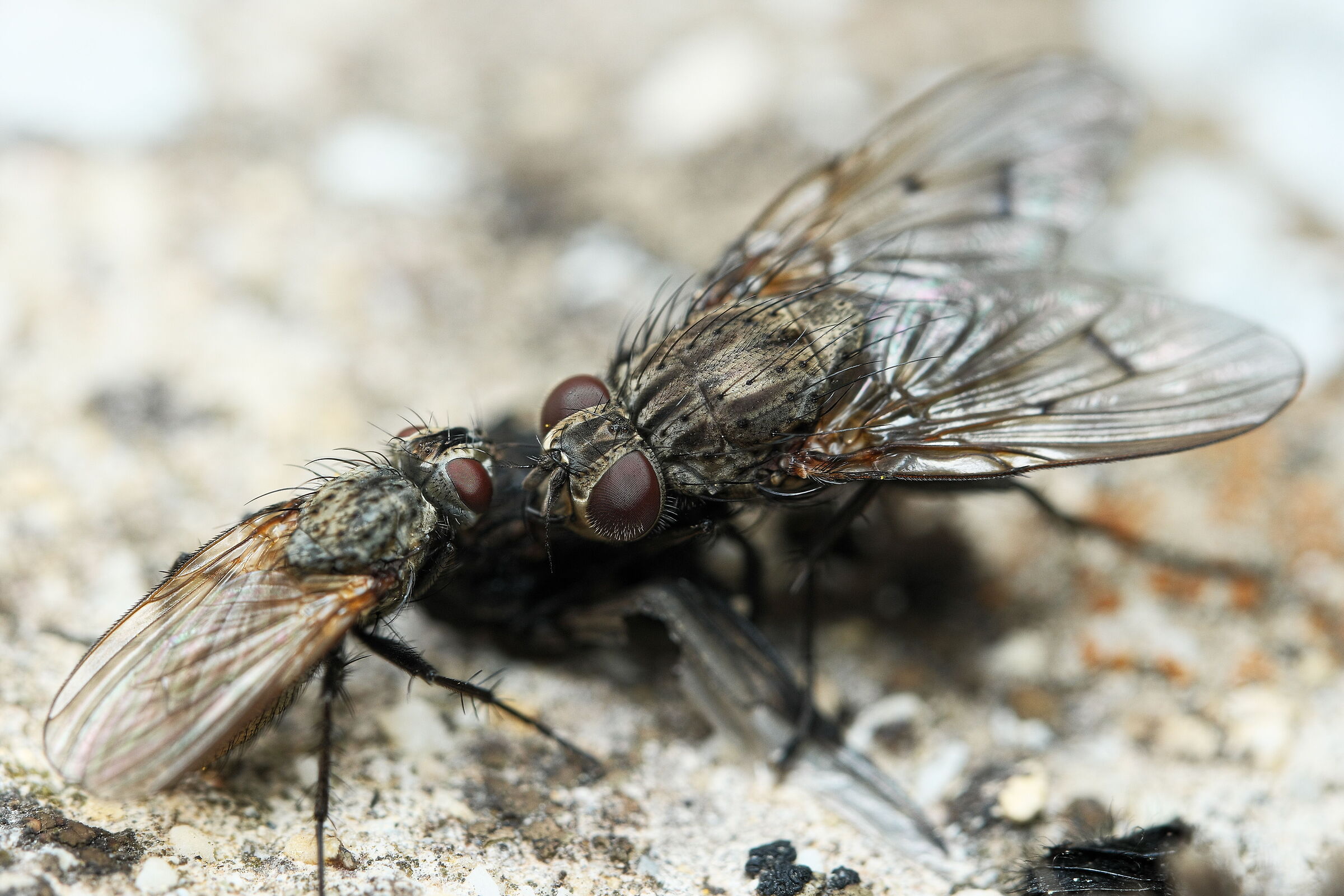 Add a seat at the table...