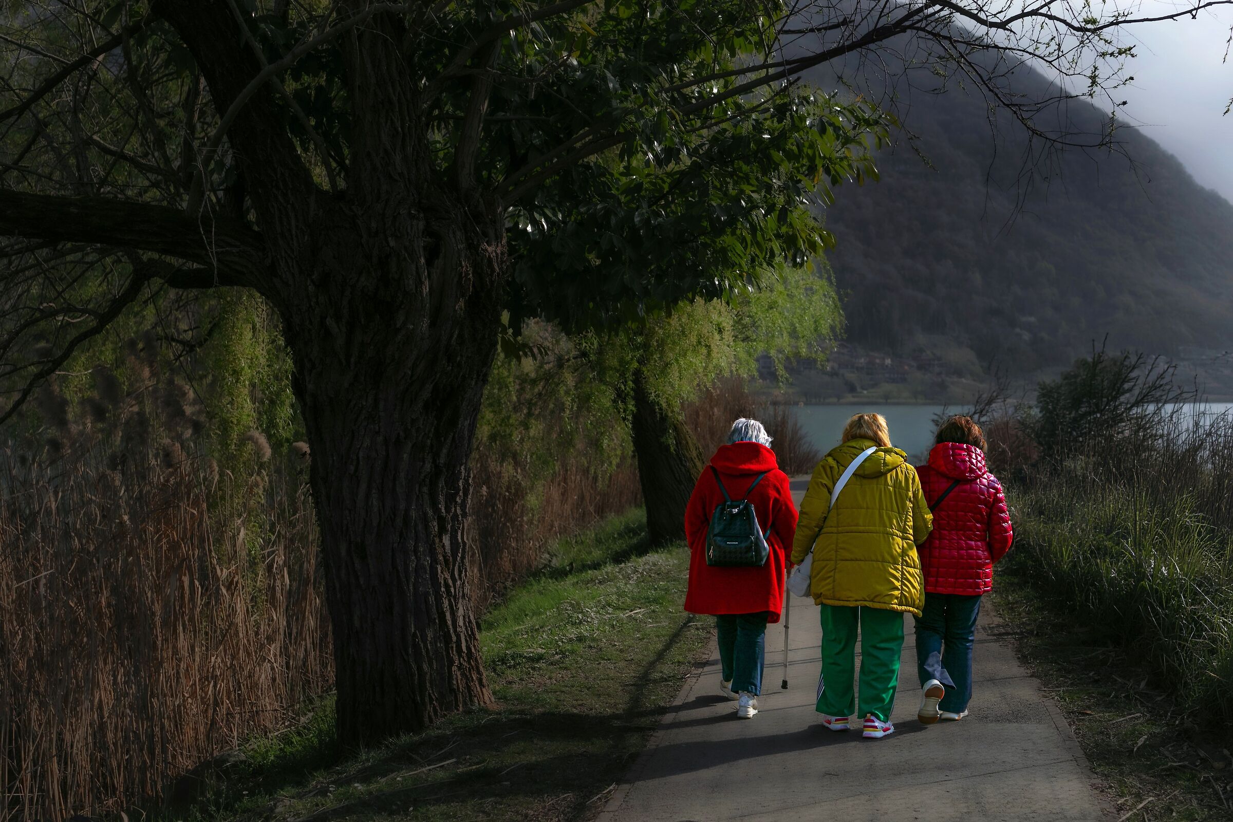 Flamboyant old age