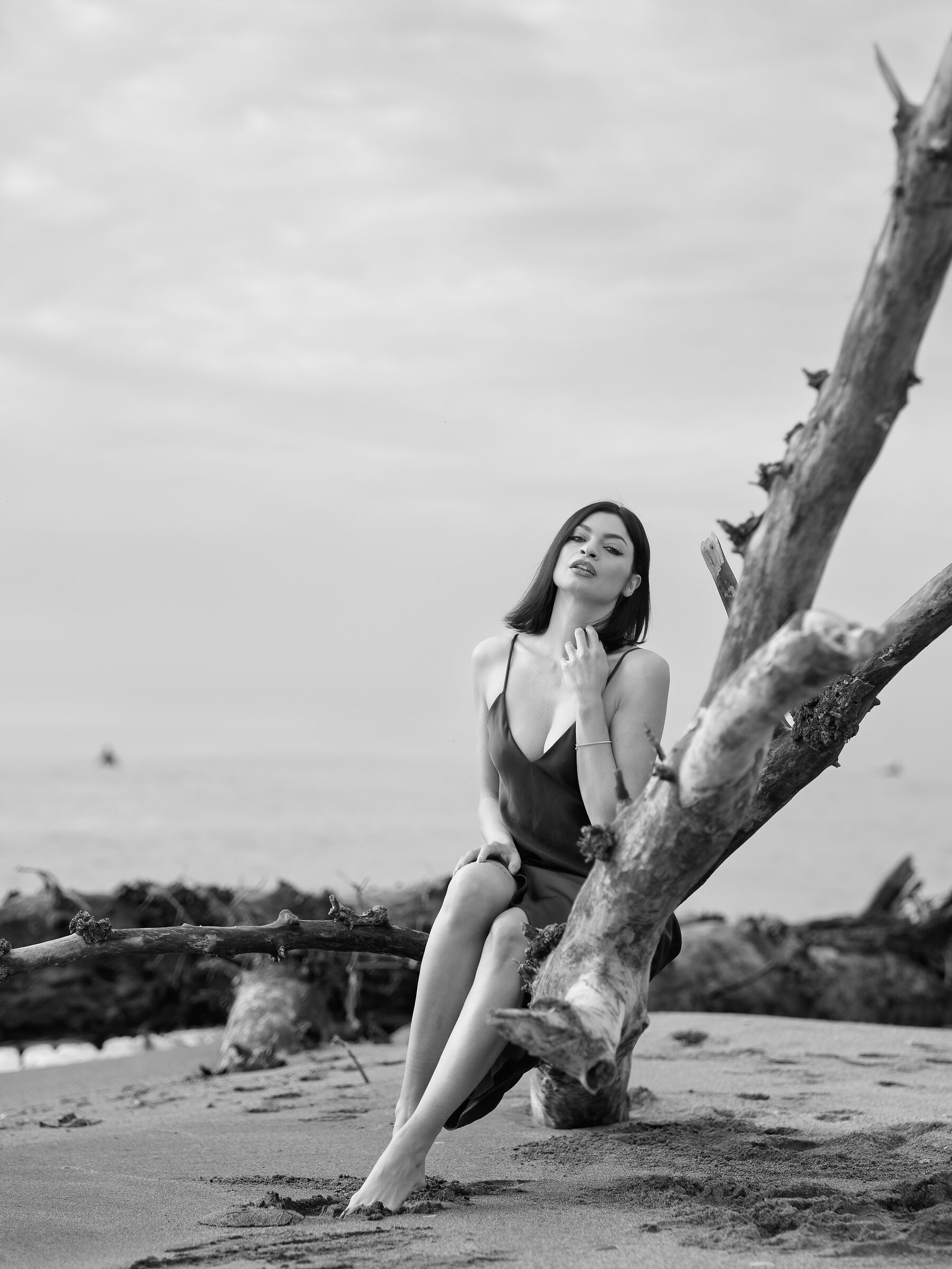 Tiffany B&n