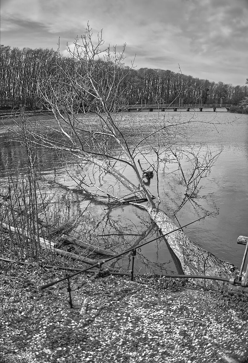 as an outstretched arm