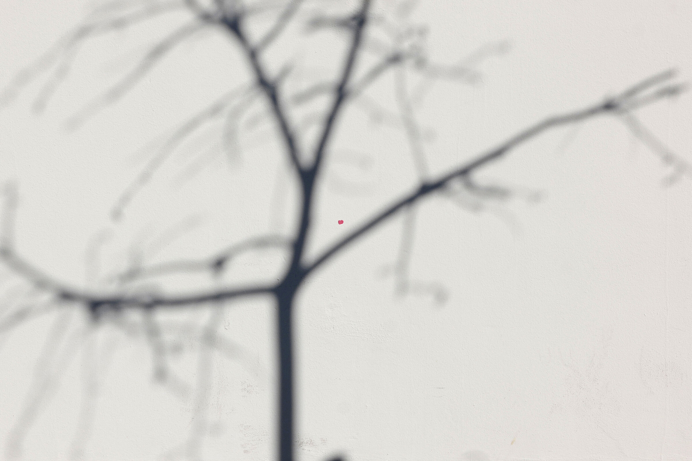 il punto rosso