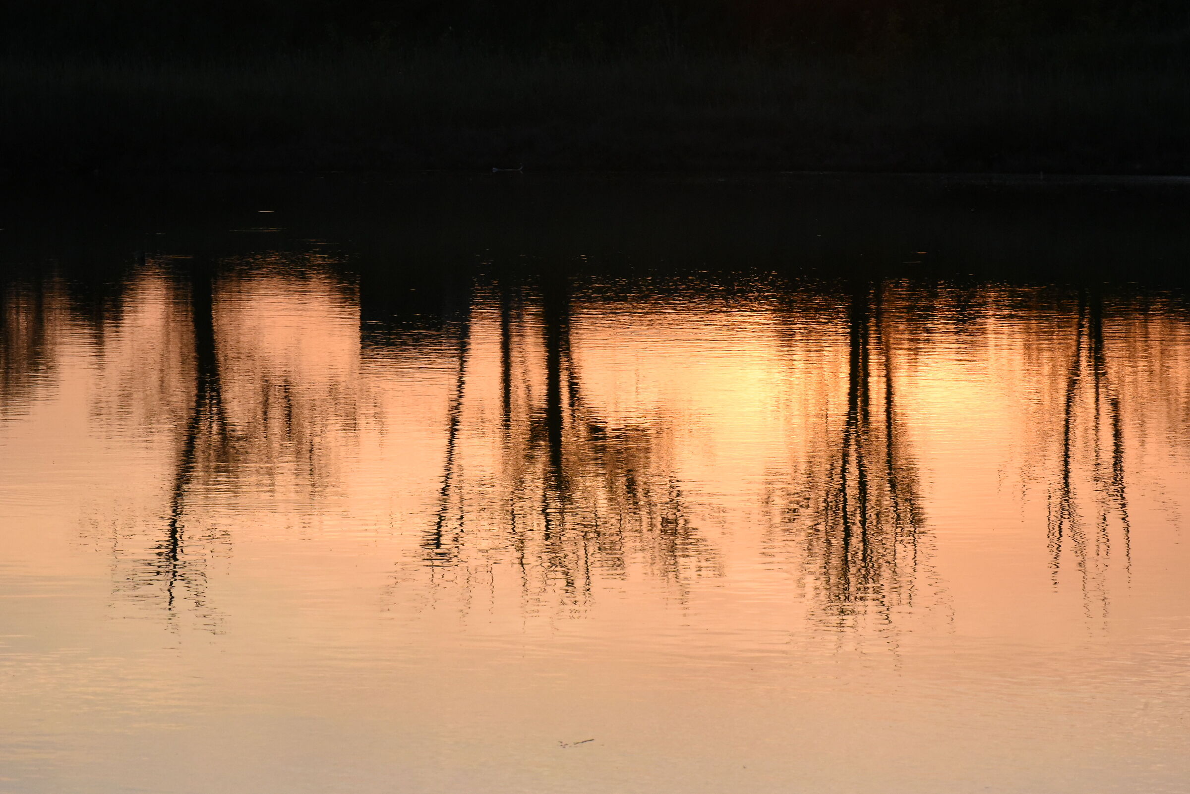 Riflessi al tramonto
