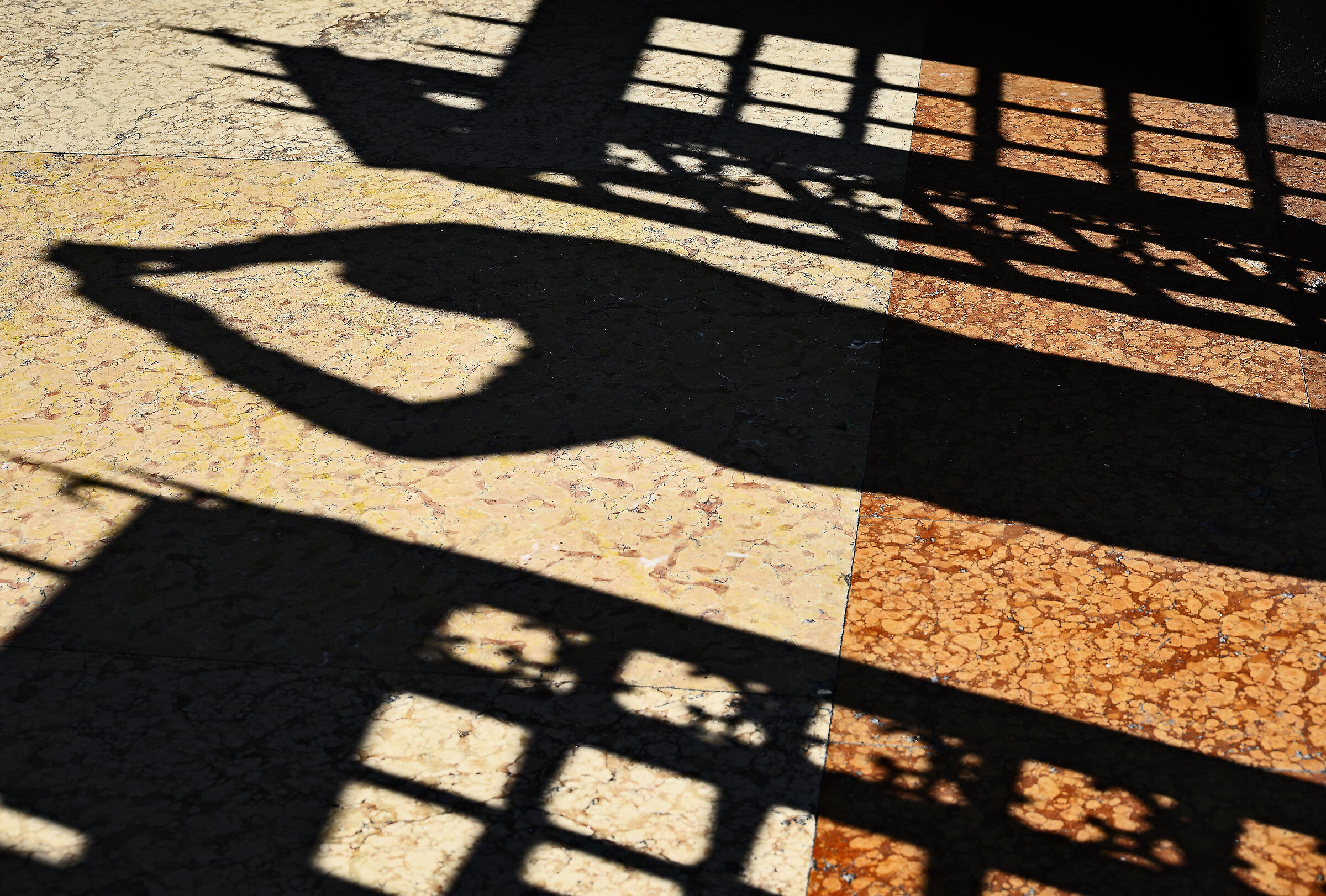 Shadows...