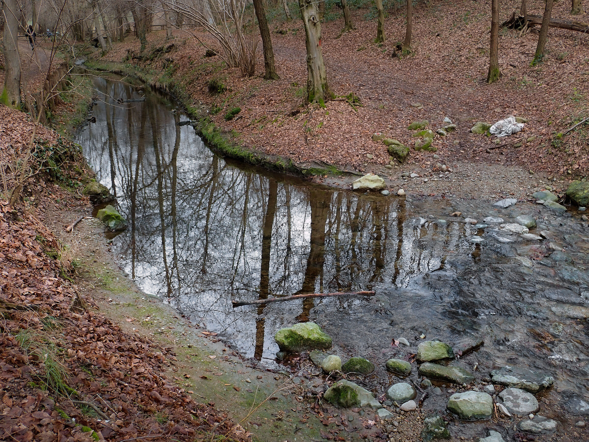 Untitled Photo
