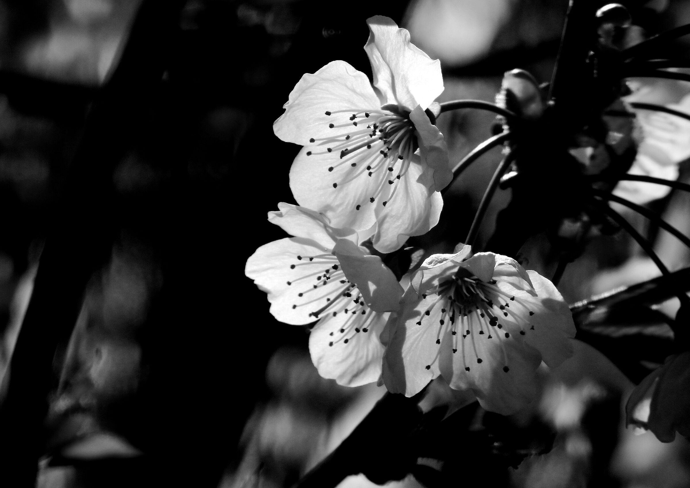 Untitled Photo