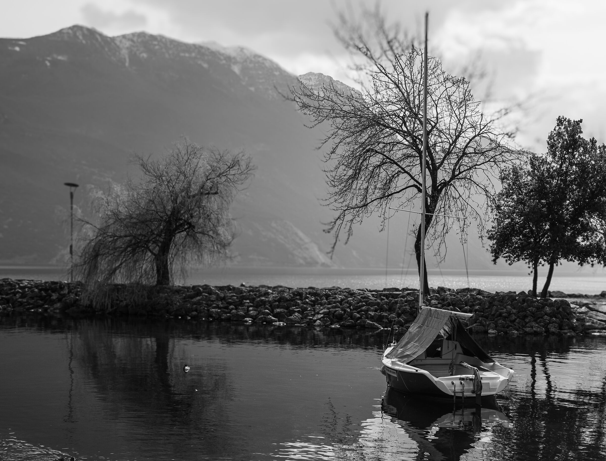 Vista lago
