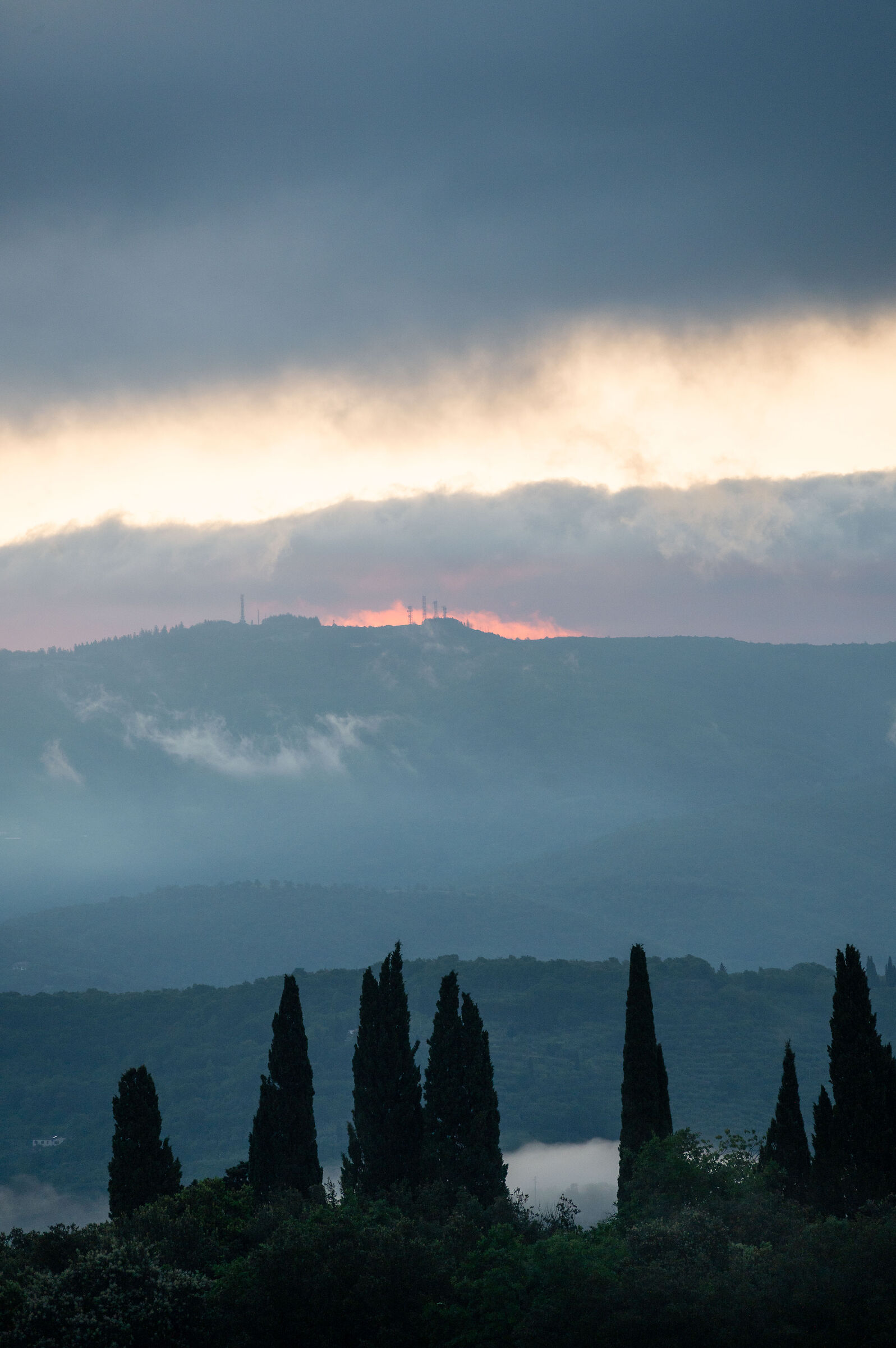 DALL'ALTO 1