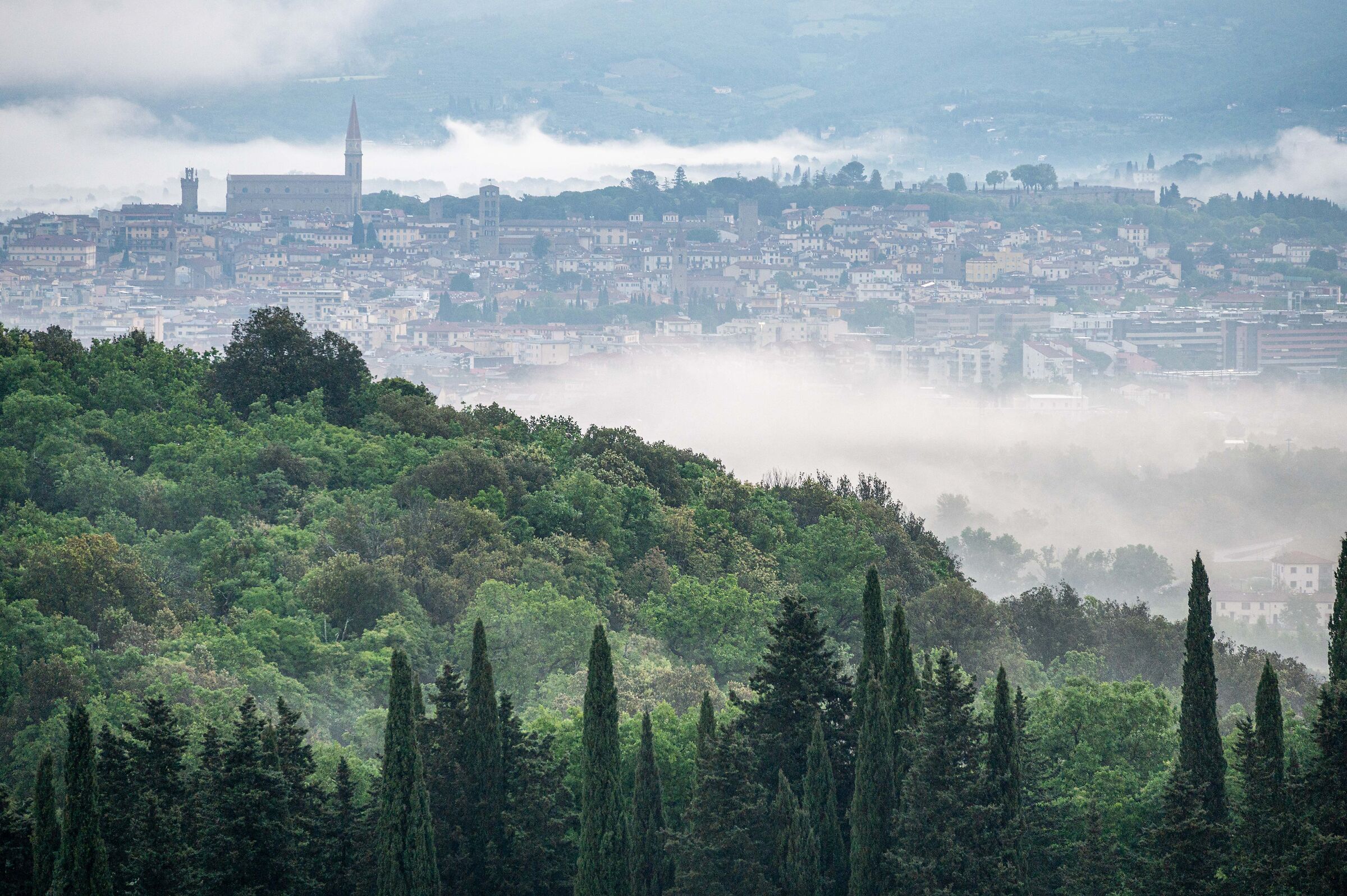 DALL'ALTO 2