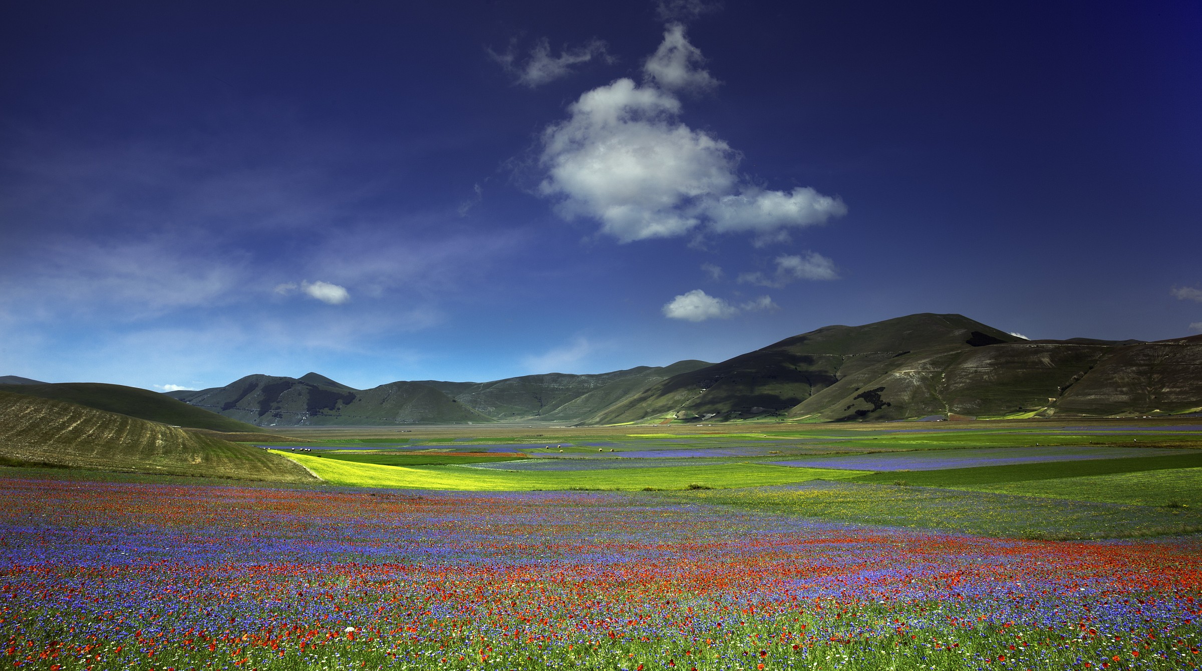 Fioritura a Pian Grande