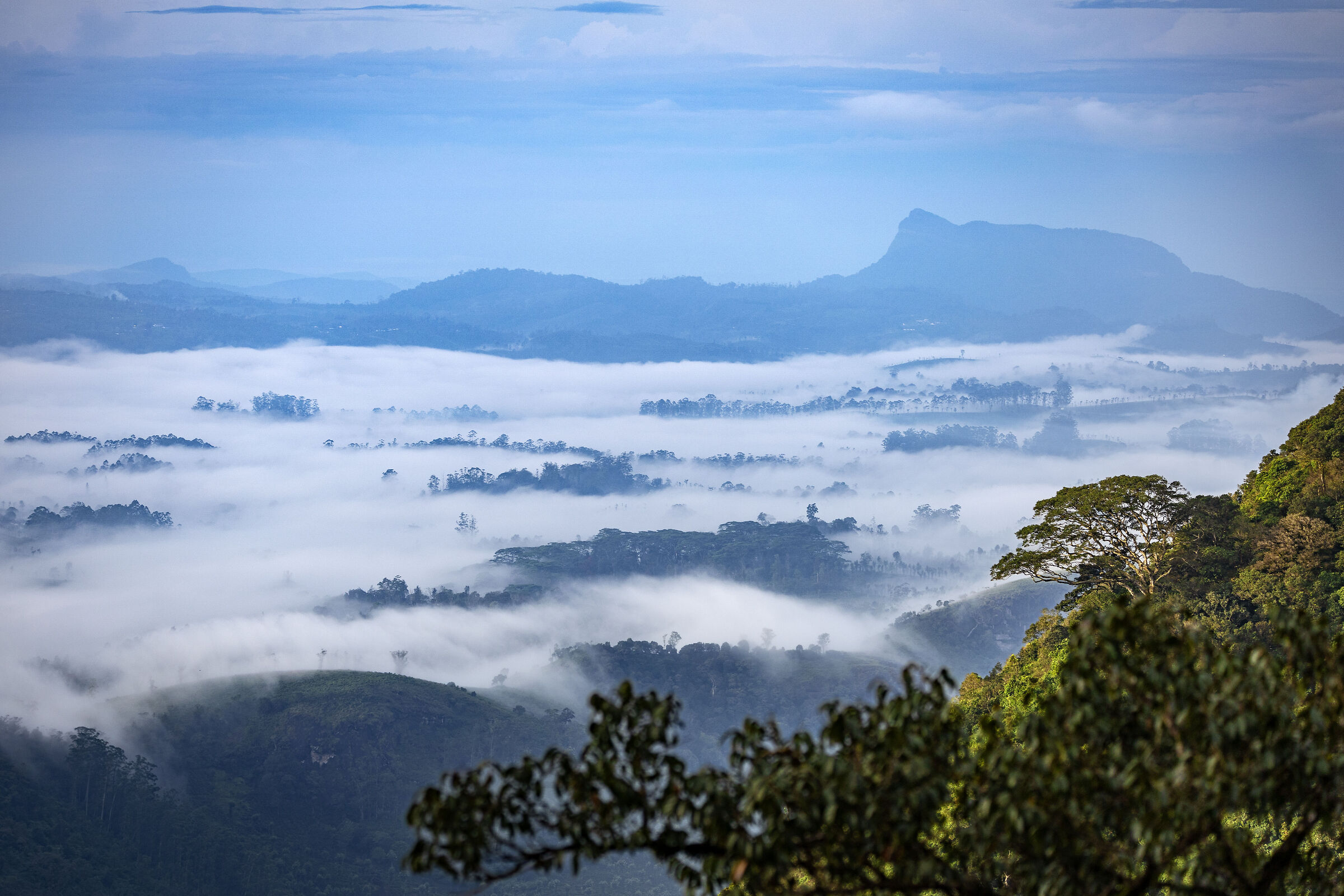 Above the clouds