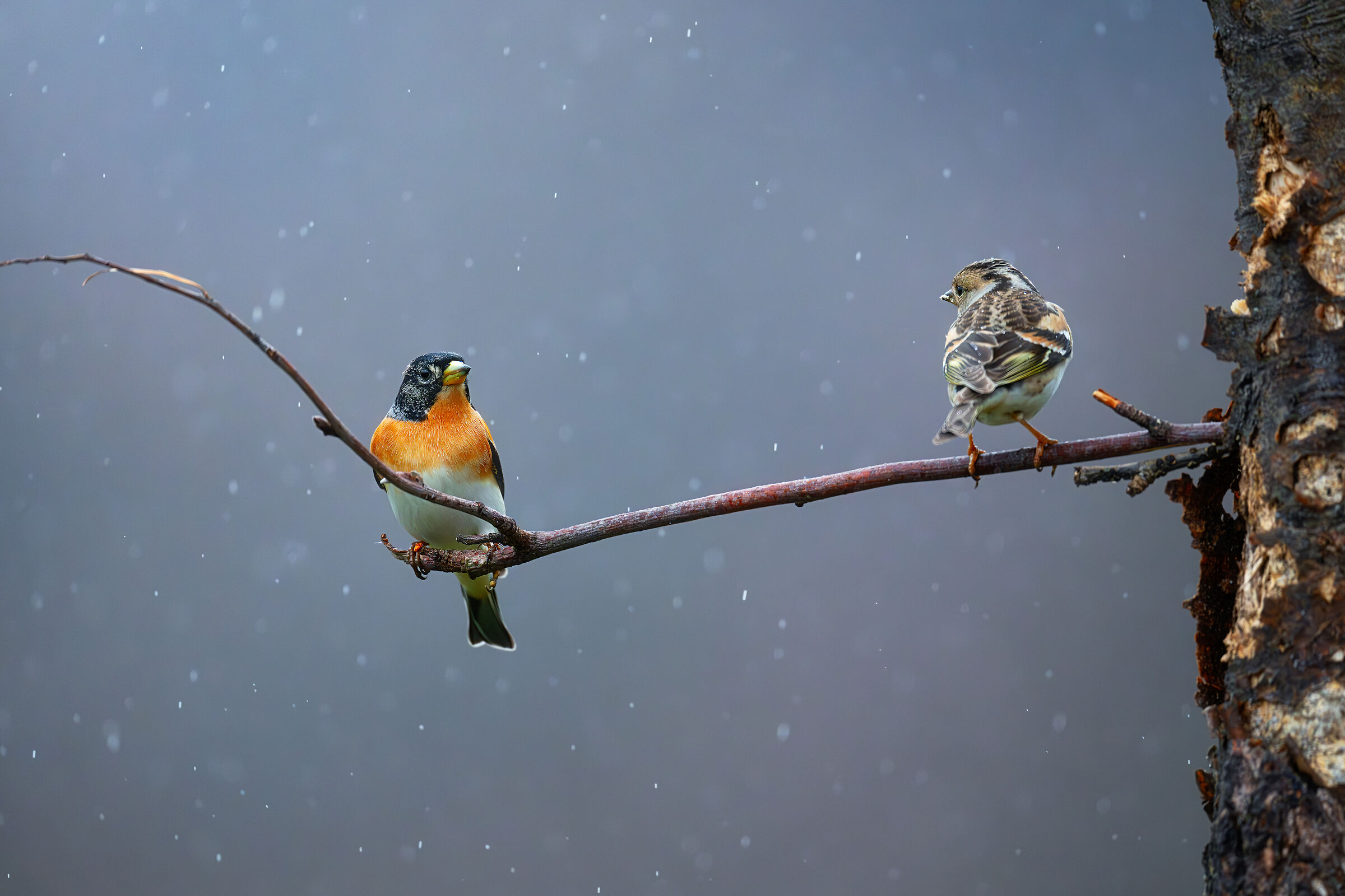 Who will take the first step?