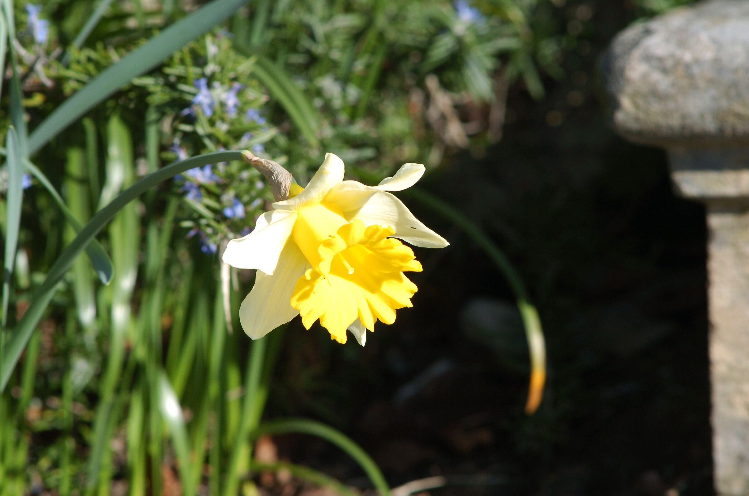 Una annotazione gentile, indubbiamente distinta