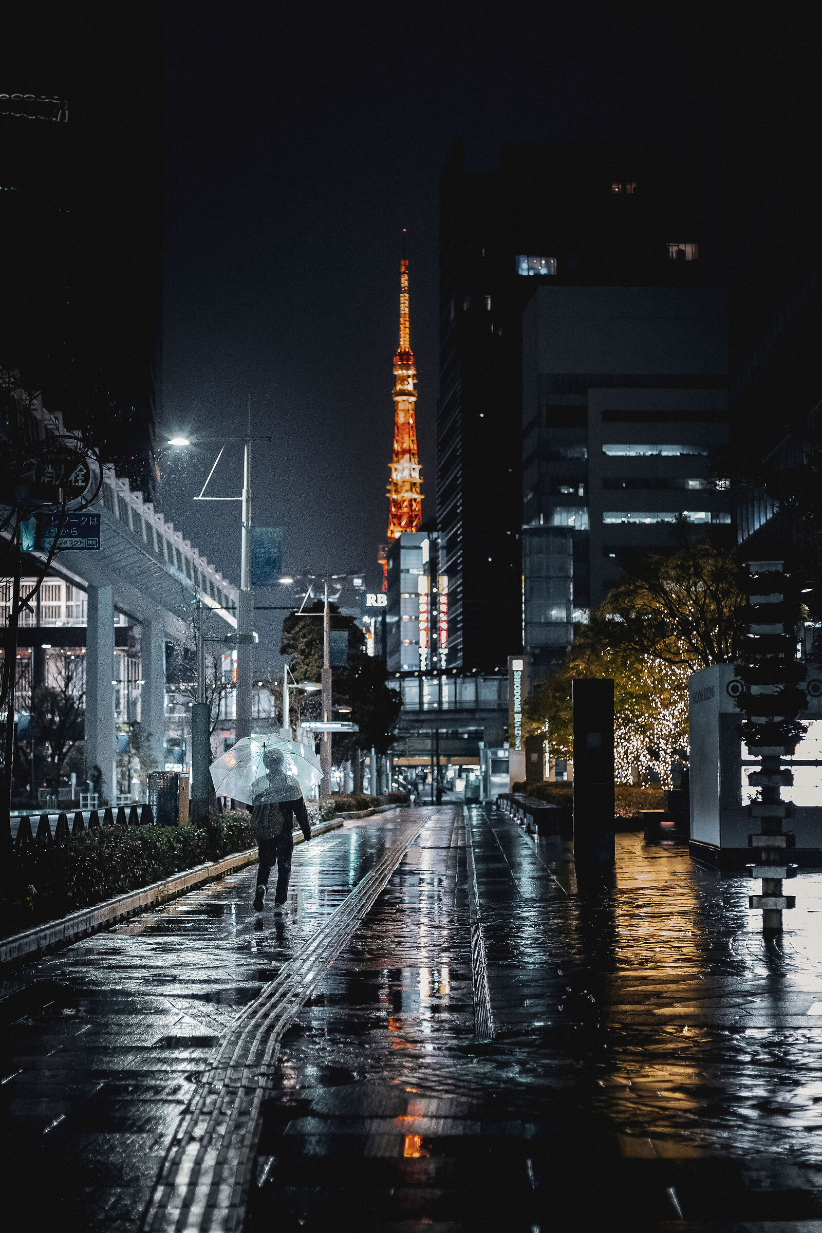 Tokyo #12