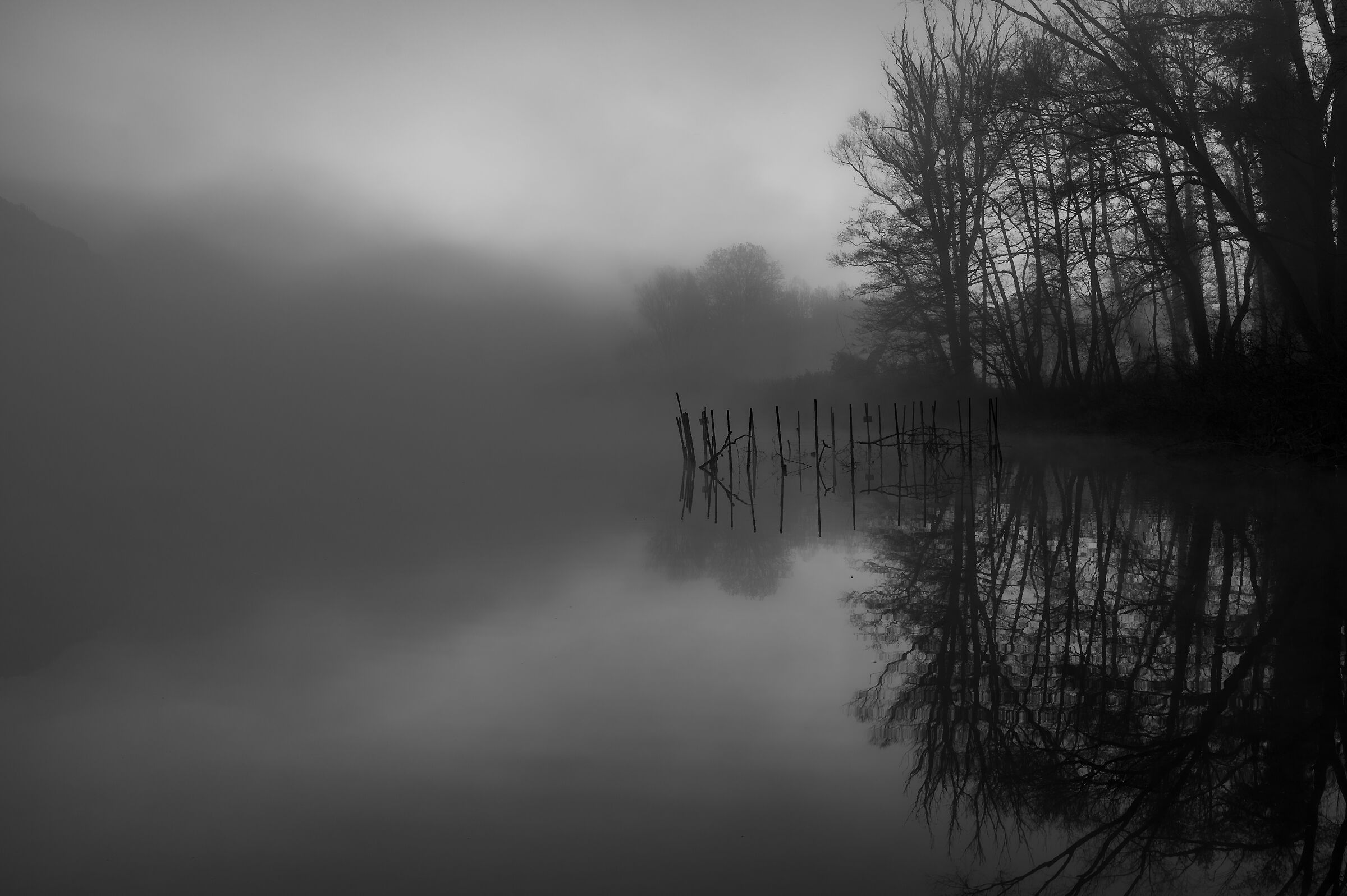 Fade To Black