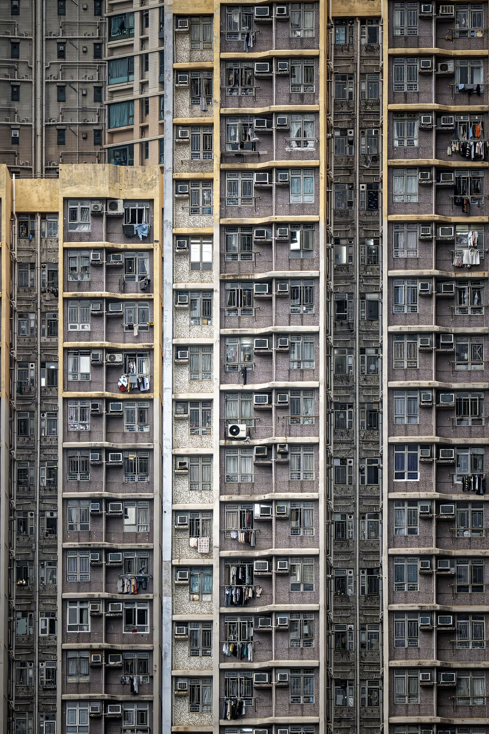 The Hive